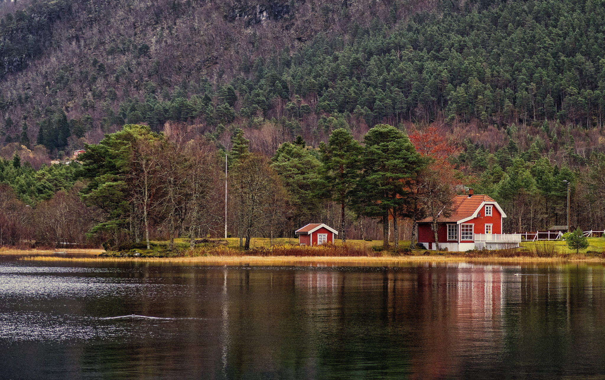 Canon PowerShot G5 X sample photo. Red house by the lake photography