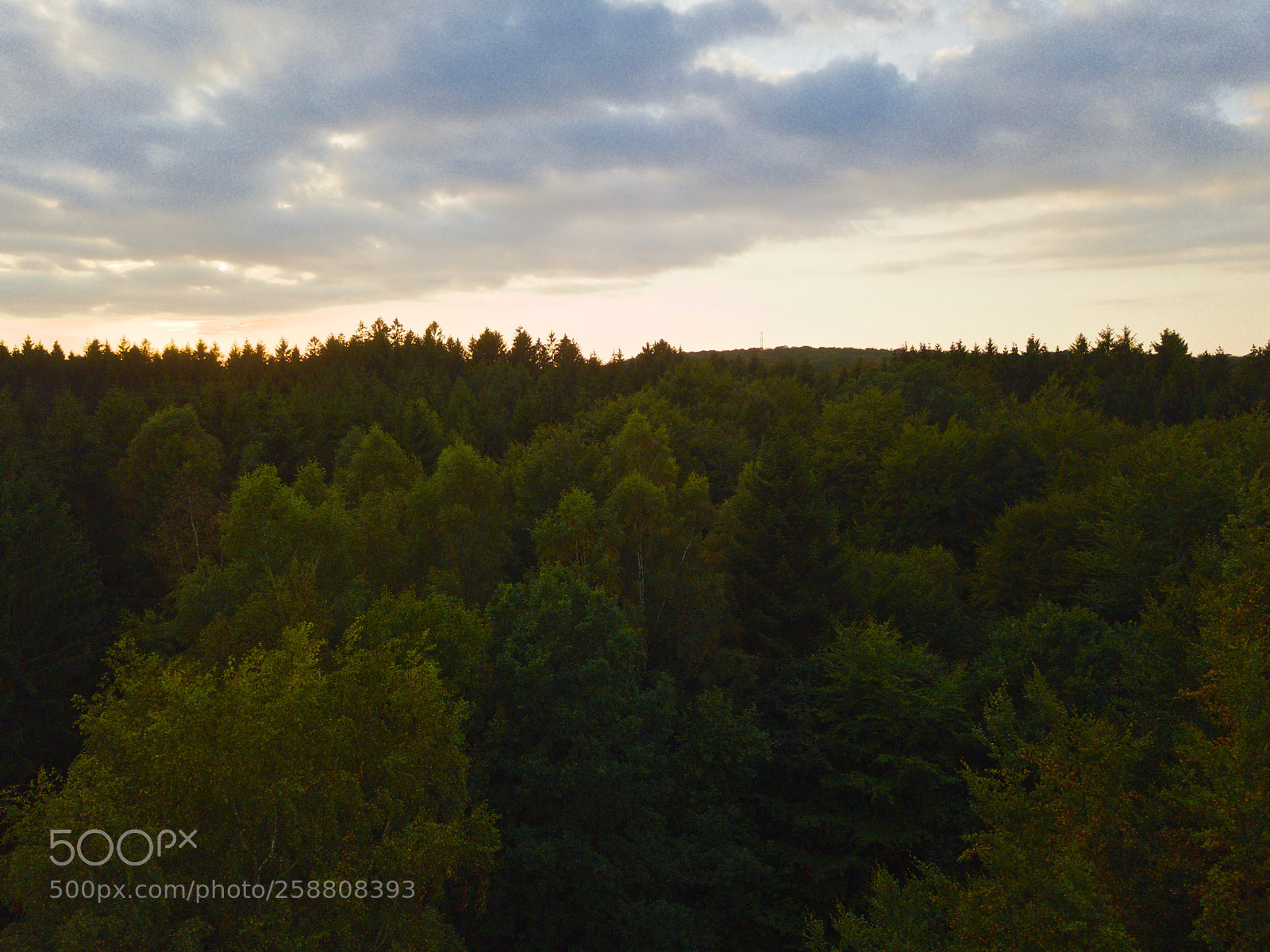 DJI FC220 sample photo. Sunset view above a photography