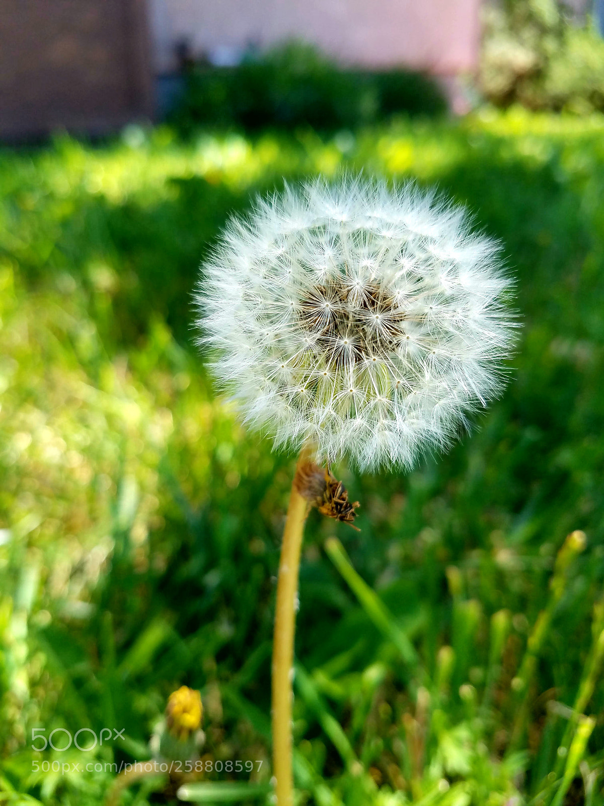 Samsung Galaxy S7 Edge sample photo. 20180520_231339.jpg photography