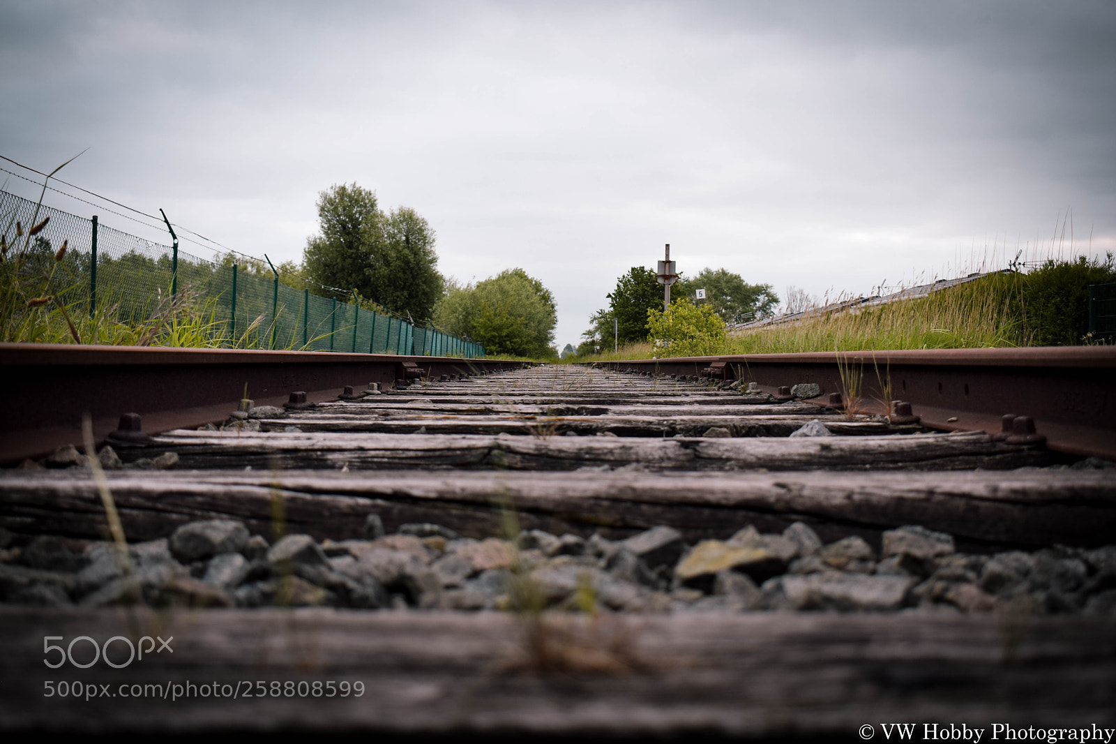 Nikon D3300 sample photo. Railway line 73 photography
