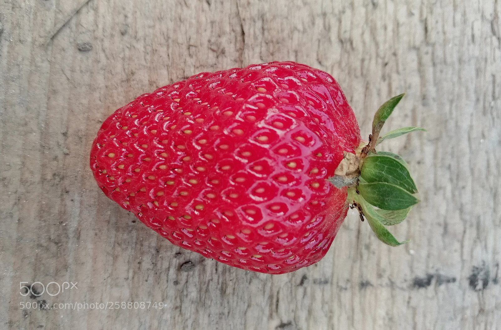HUAWEI P9 sample photo. Perfect photography