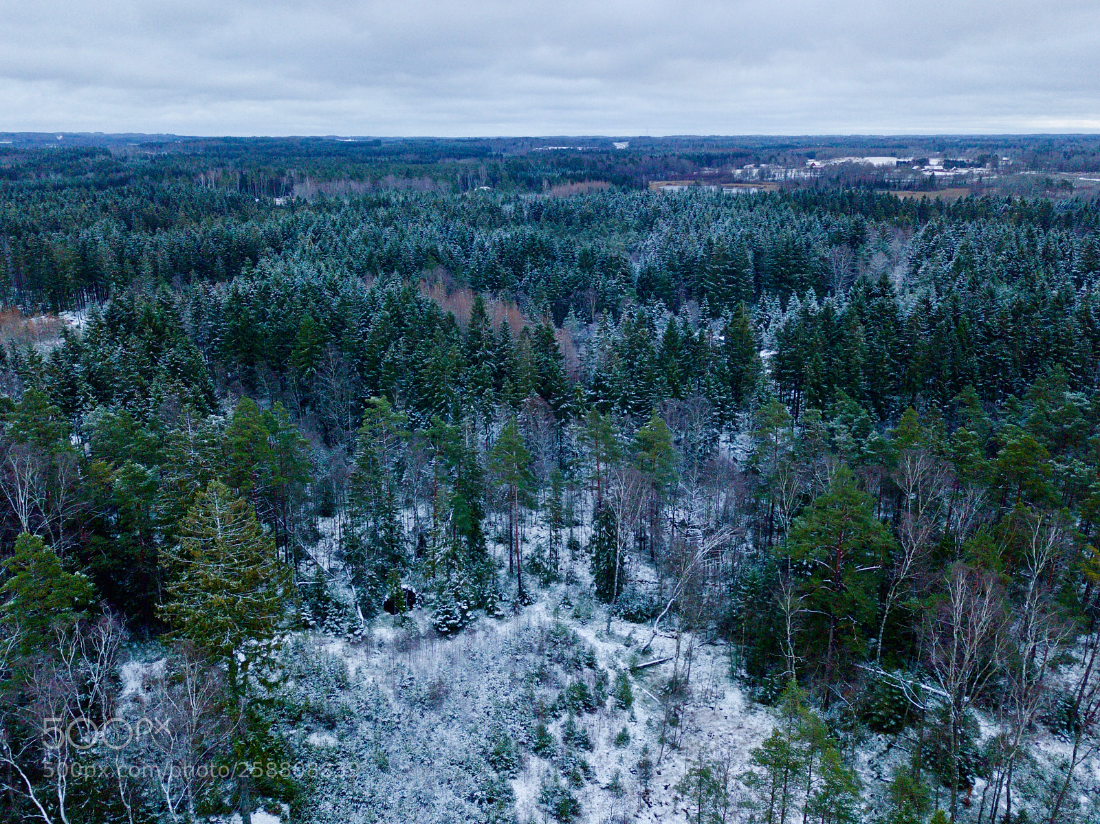 DJI FC220 sample photo. Swedish forest in winter photography