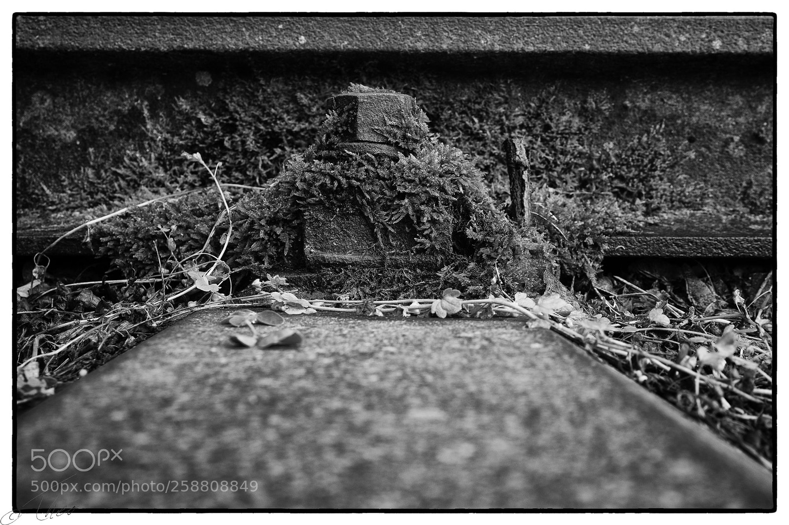 Canon EOS 6D sample photo. Old railroad photography