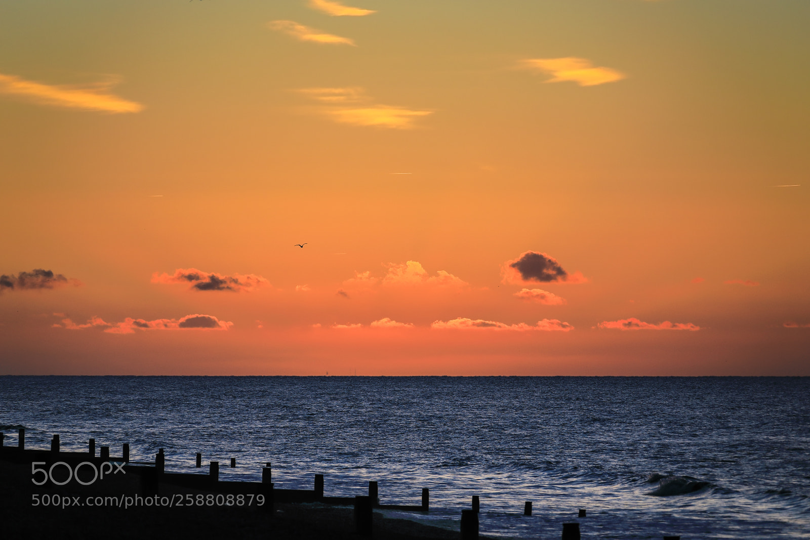 Canon EOS 5D Mark IV sample photo. Untitled photography