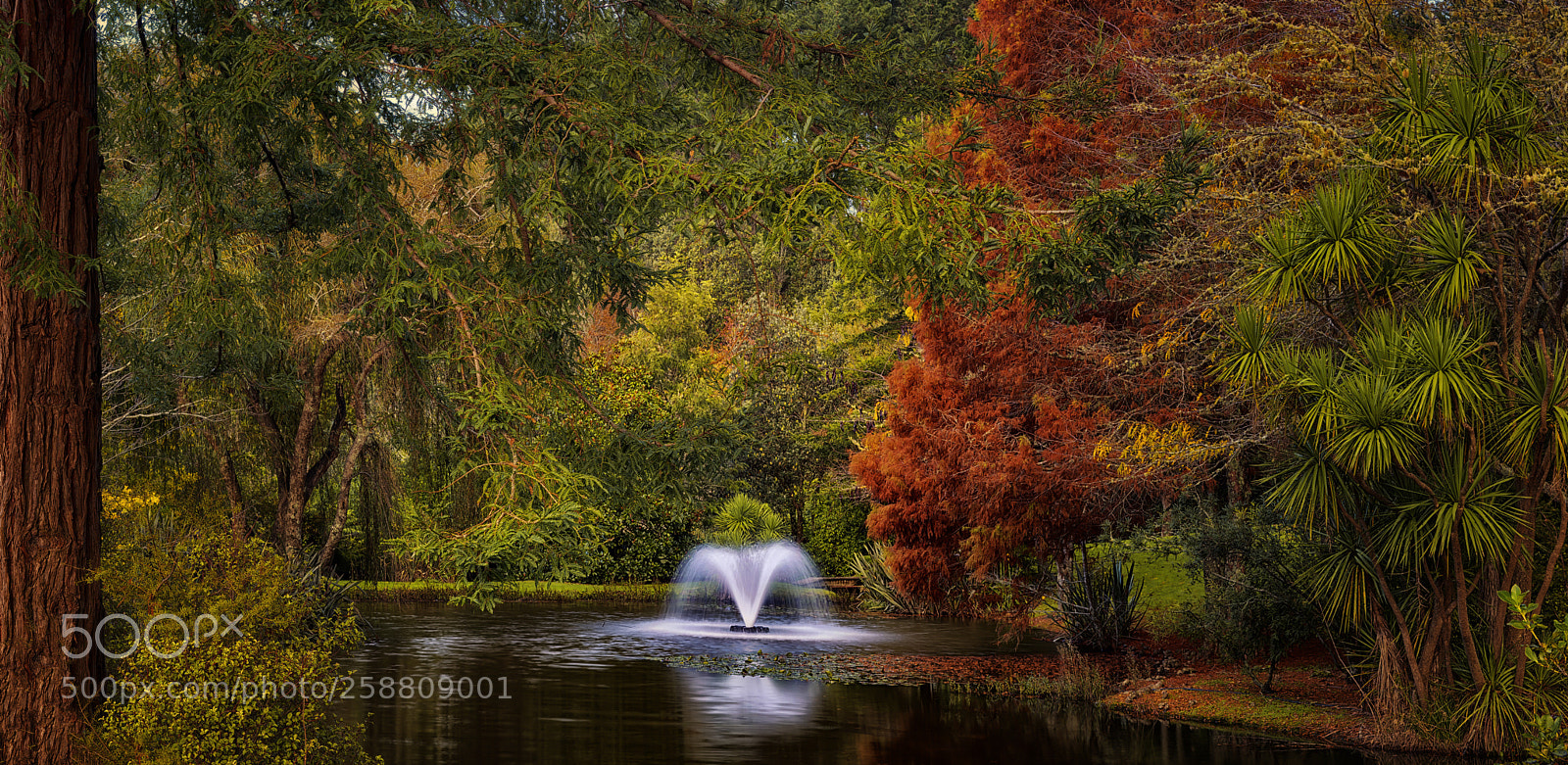Nikon D800 sample photo. Fountain photography