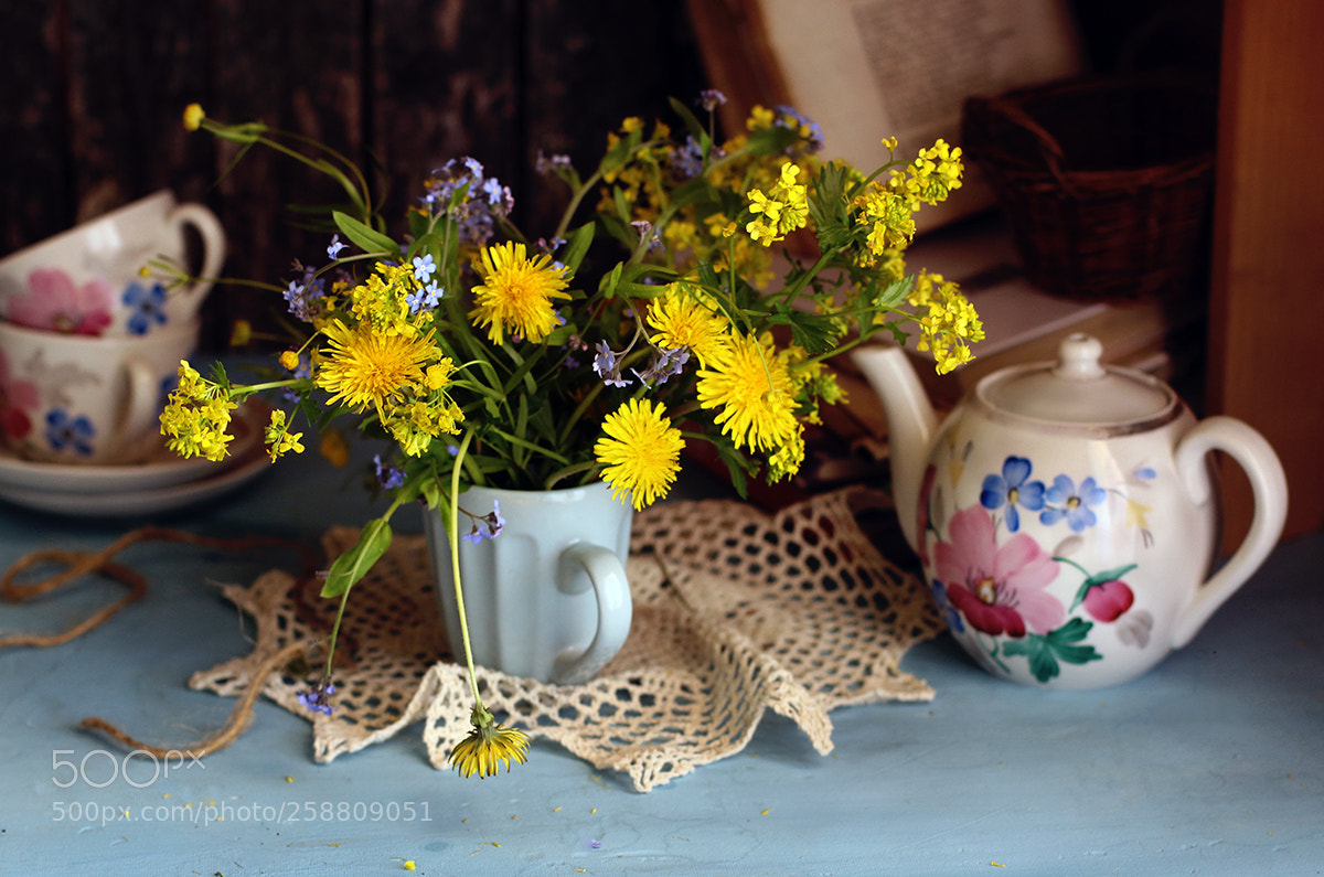 Canon EOS 600D (Rebel EOS T3i / EOS Kiss X5) sample photo. С желтыми цветами photography
