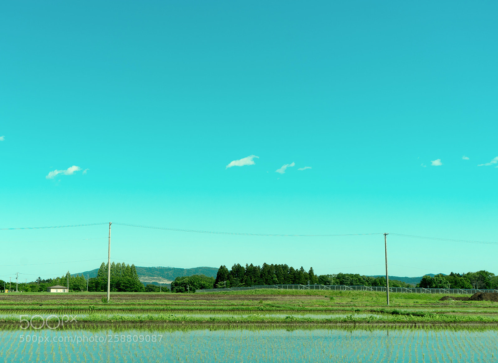 Sony a7 sample photo. Summer is coming photography