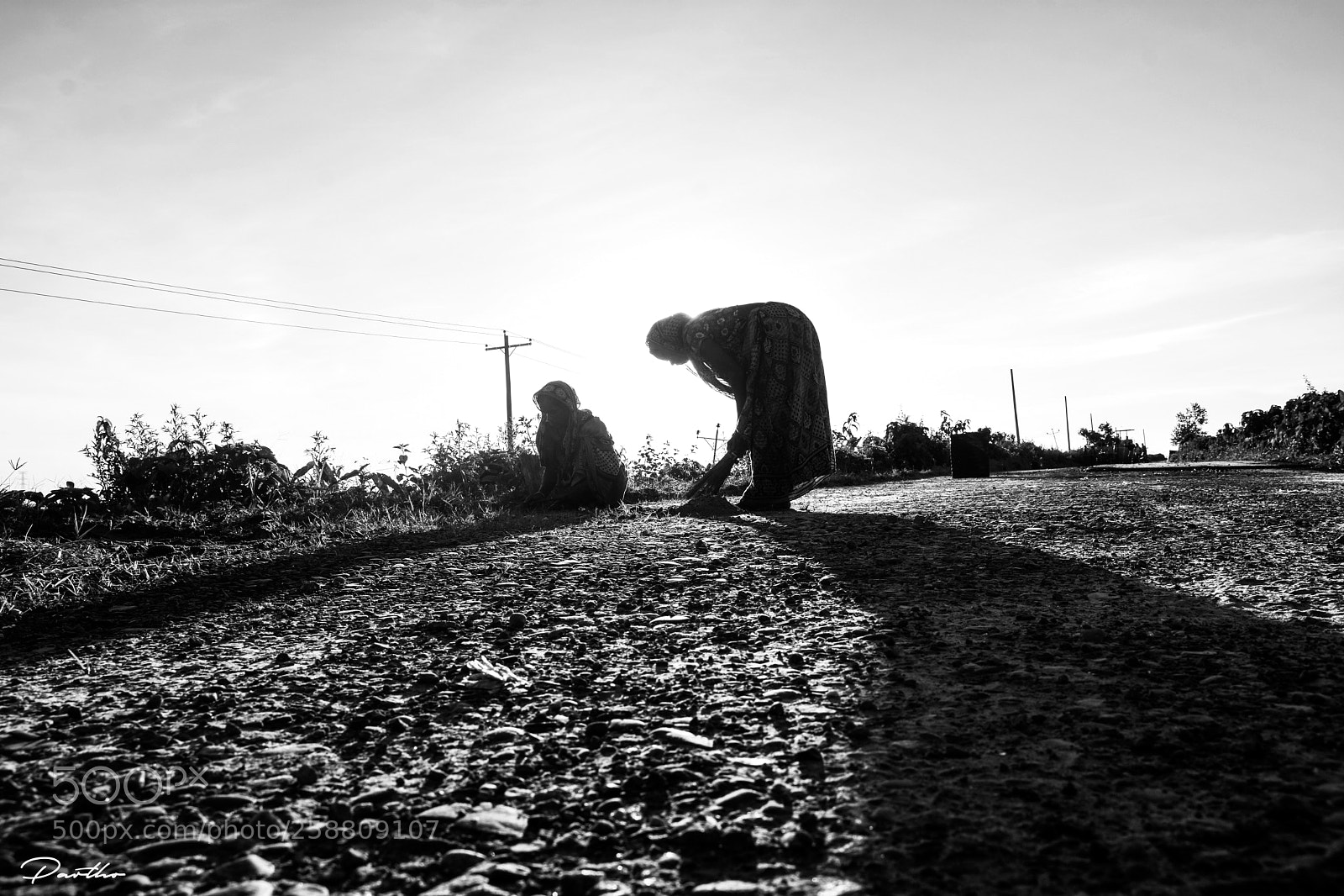 Nikon D7200 sample photo. G photography