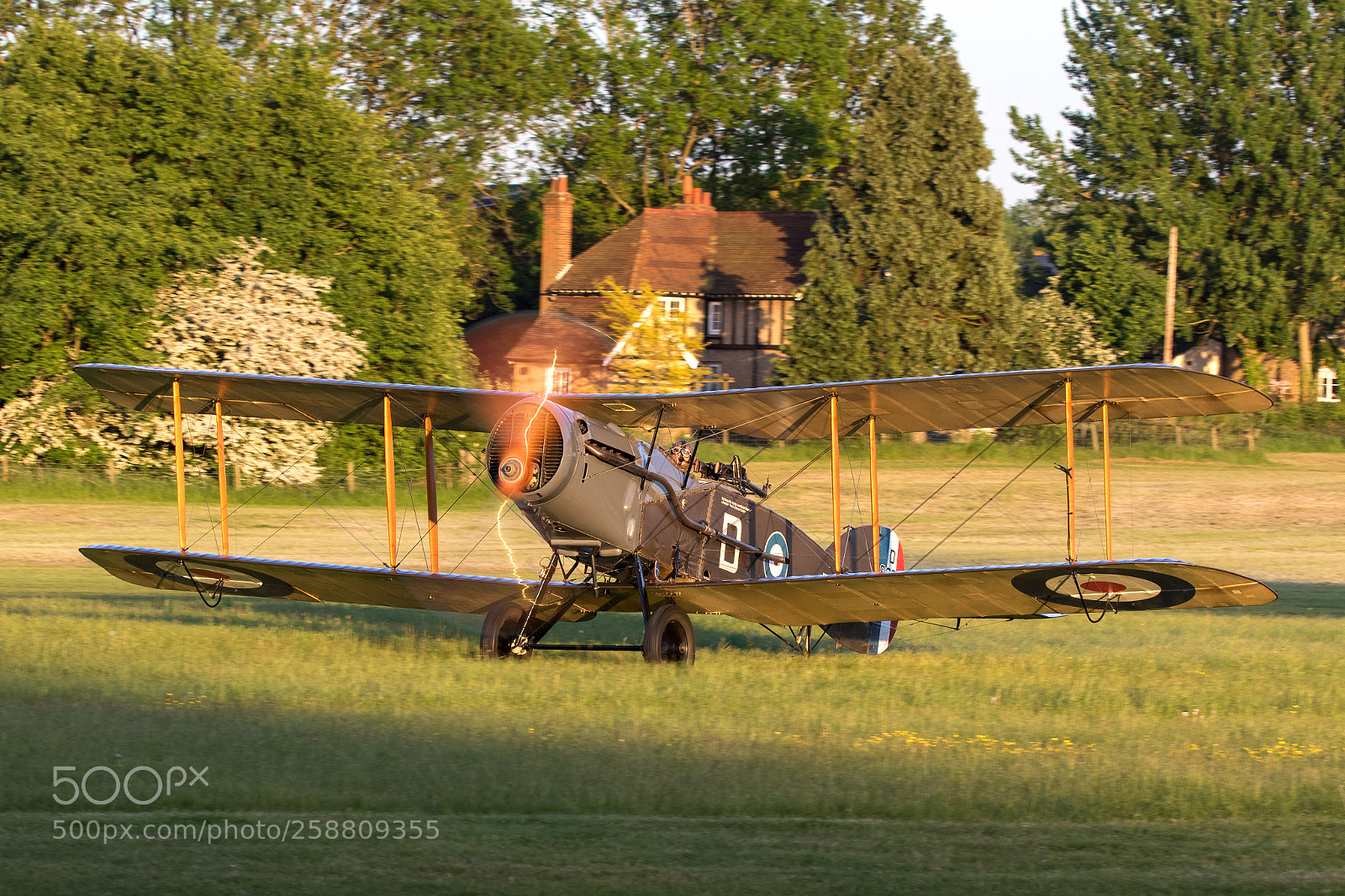 Canon EOS 7D Mark II sample photo. Bristol fighter - golden photography