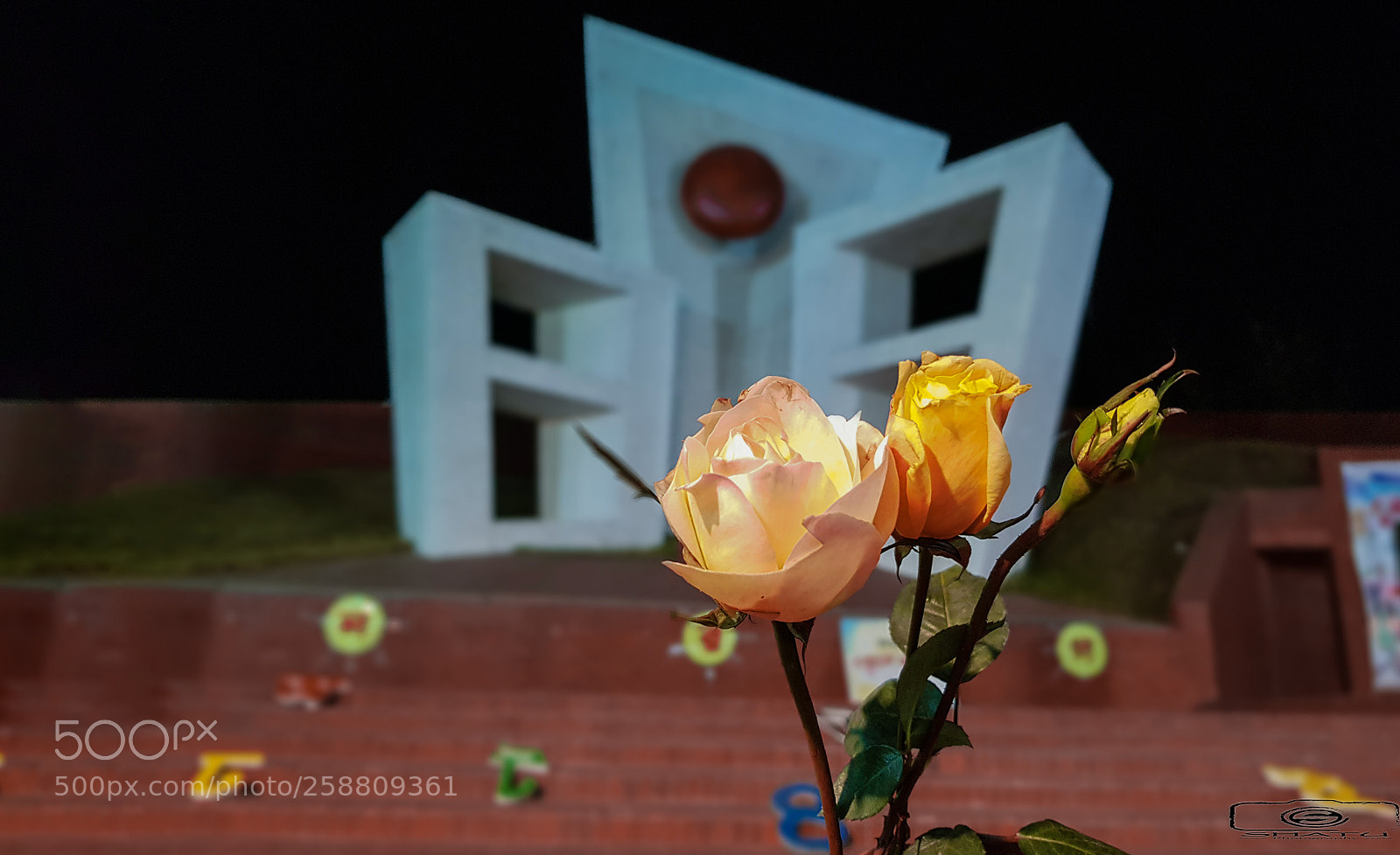 Samsung Galaxy S8+ sample photo. 022222.jpg photography