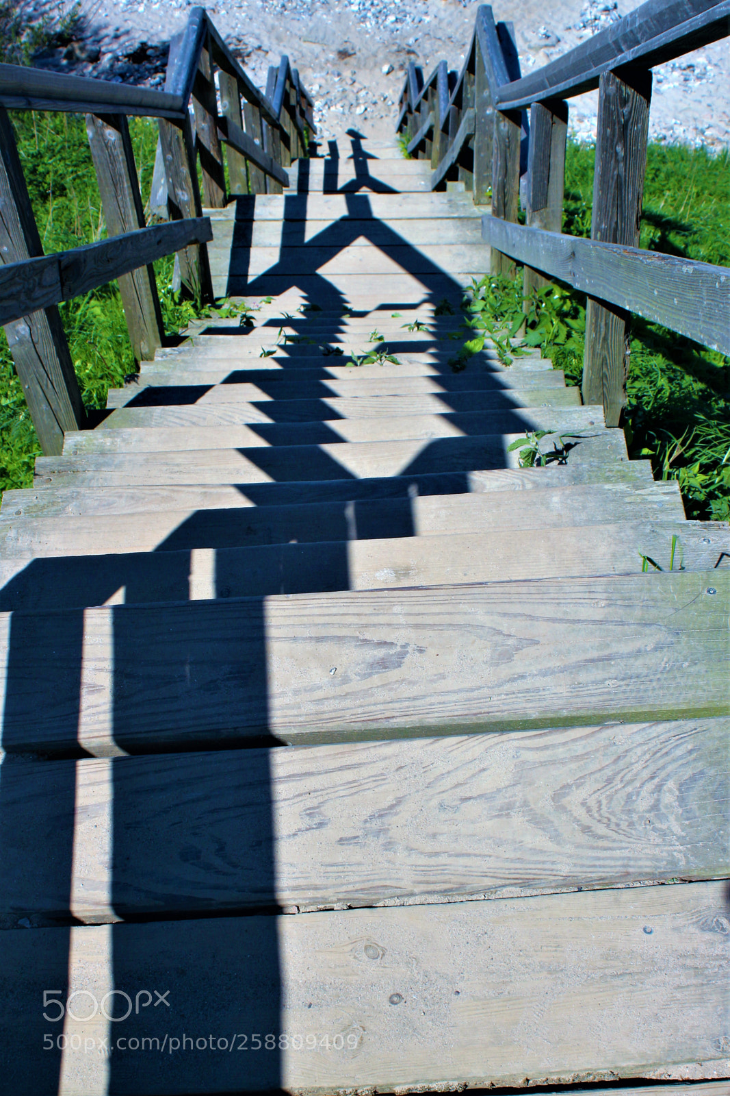 Canon EOS 100D (EOS Rebel SL1 / EOS Kiss X7) sample photo. Wooden stairs photography