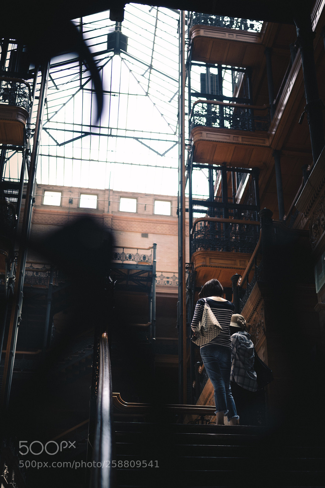 Nikon D750 sample photo. Untitled photography