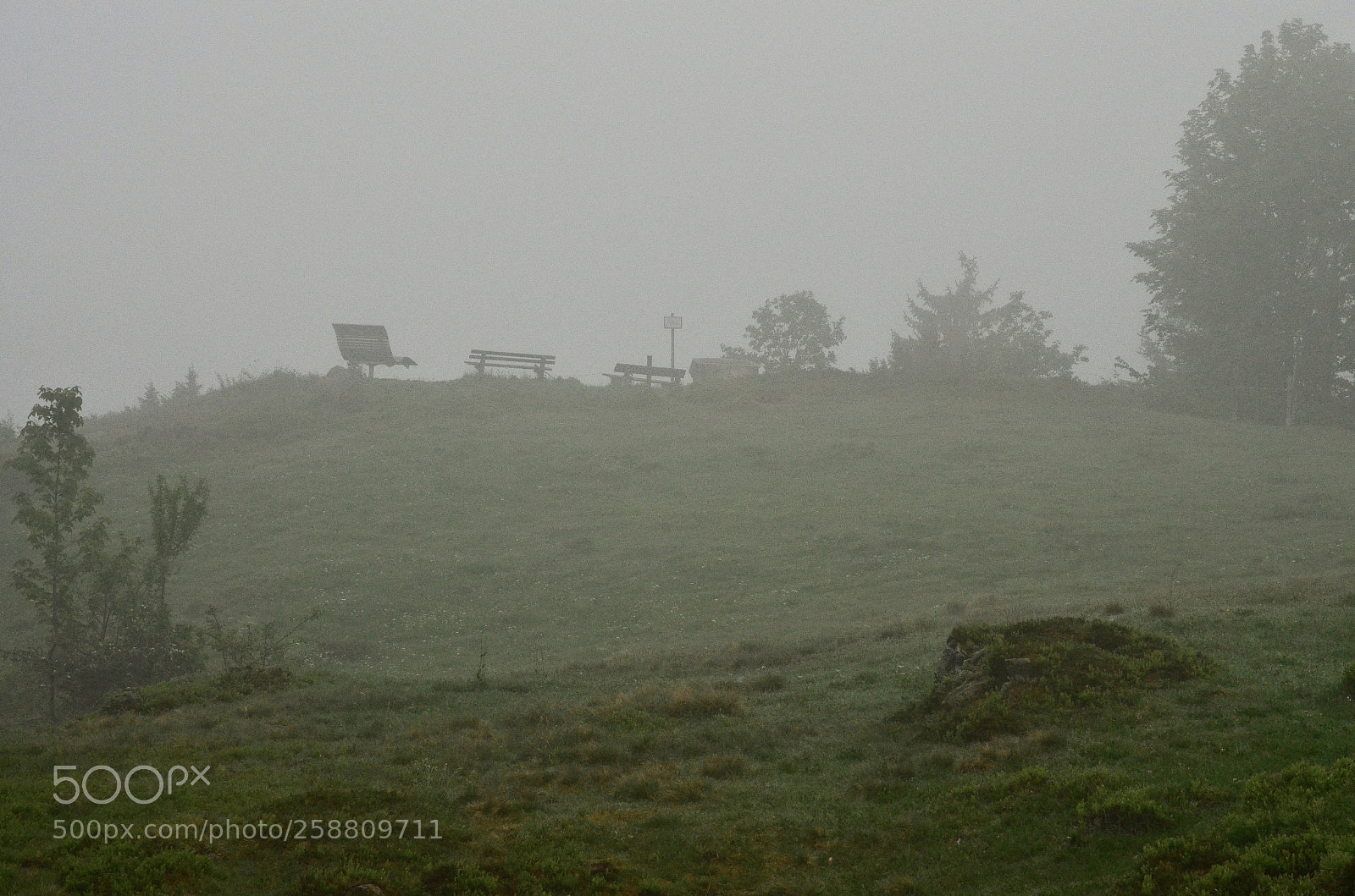 Nikon D5100 sample photo. Foggy hillside photography