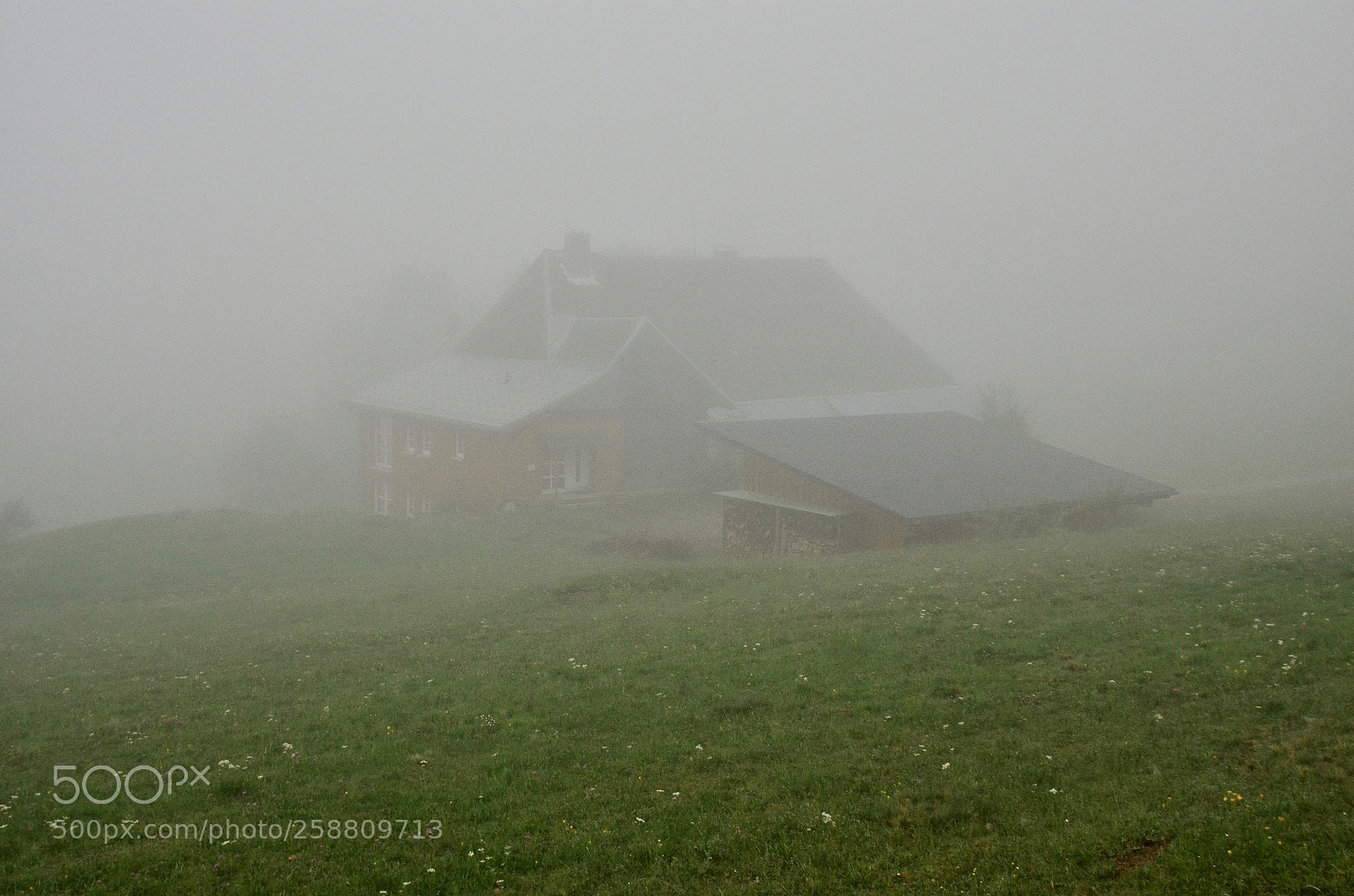 Nikon D5100 sample photo. Foggy house photography