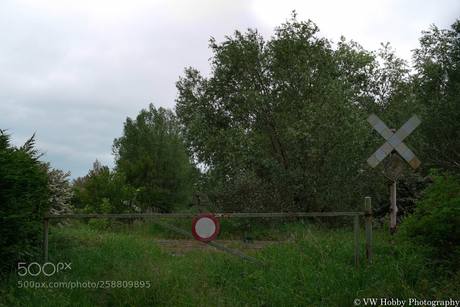 Nikon D3300 sample photo. Railway line 73 photography