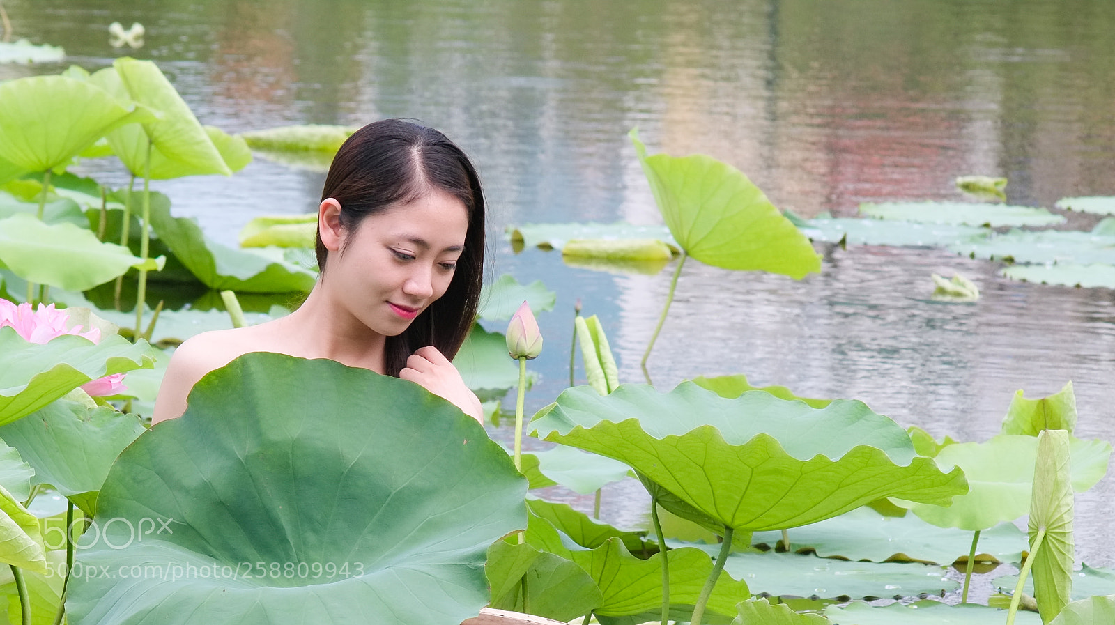 Fujifilm X-E1 sample photo. The leaf photography