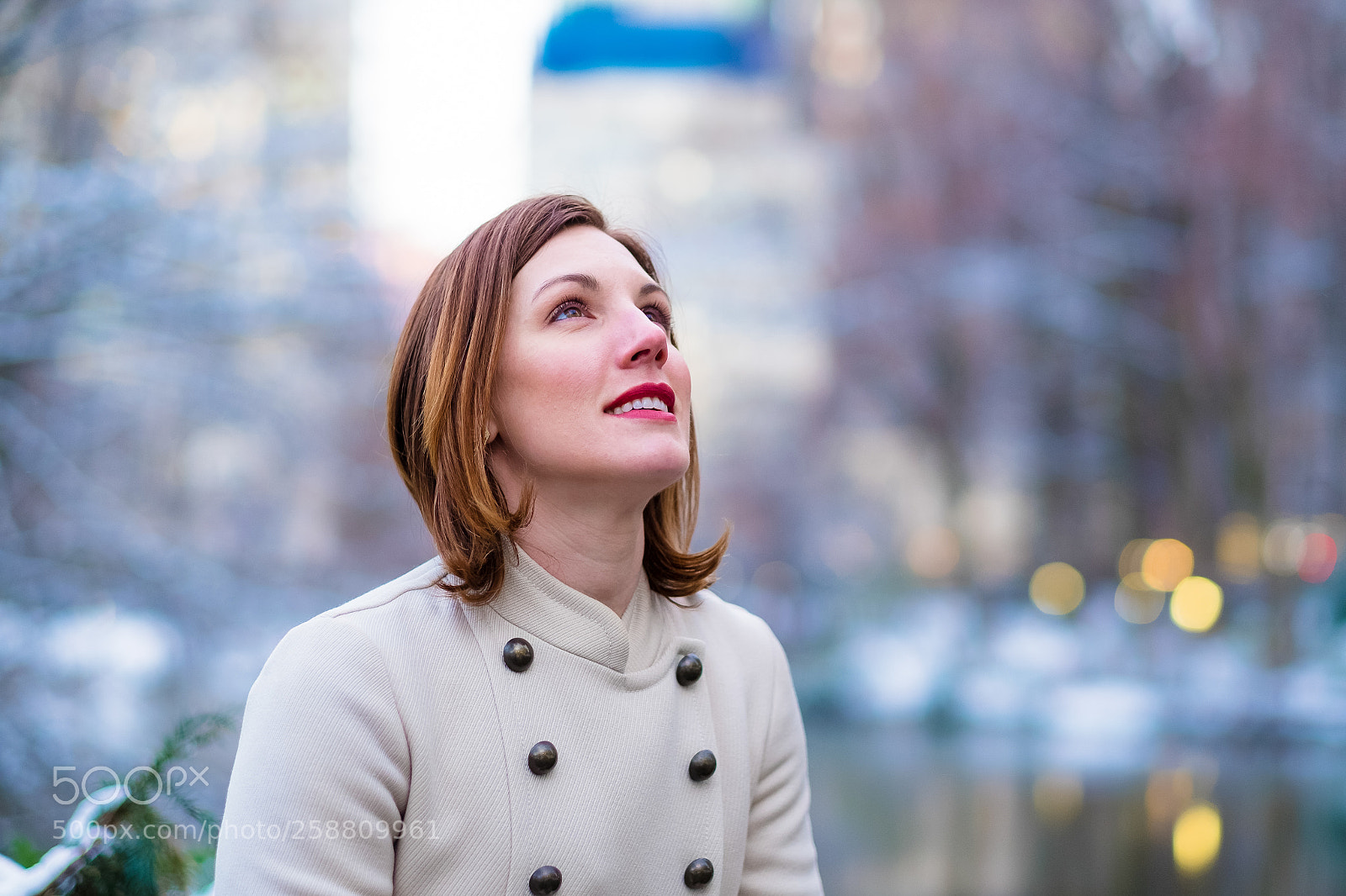 Fujifilm X-T1 sample photo. Snowy central park photography