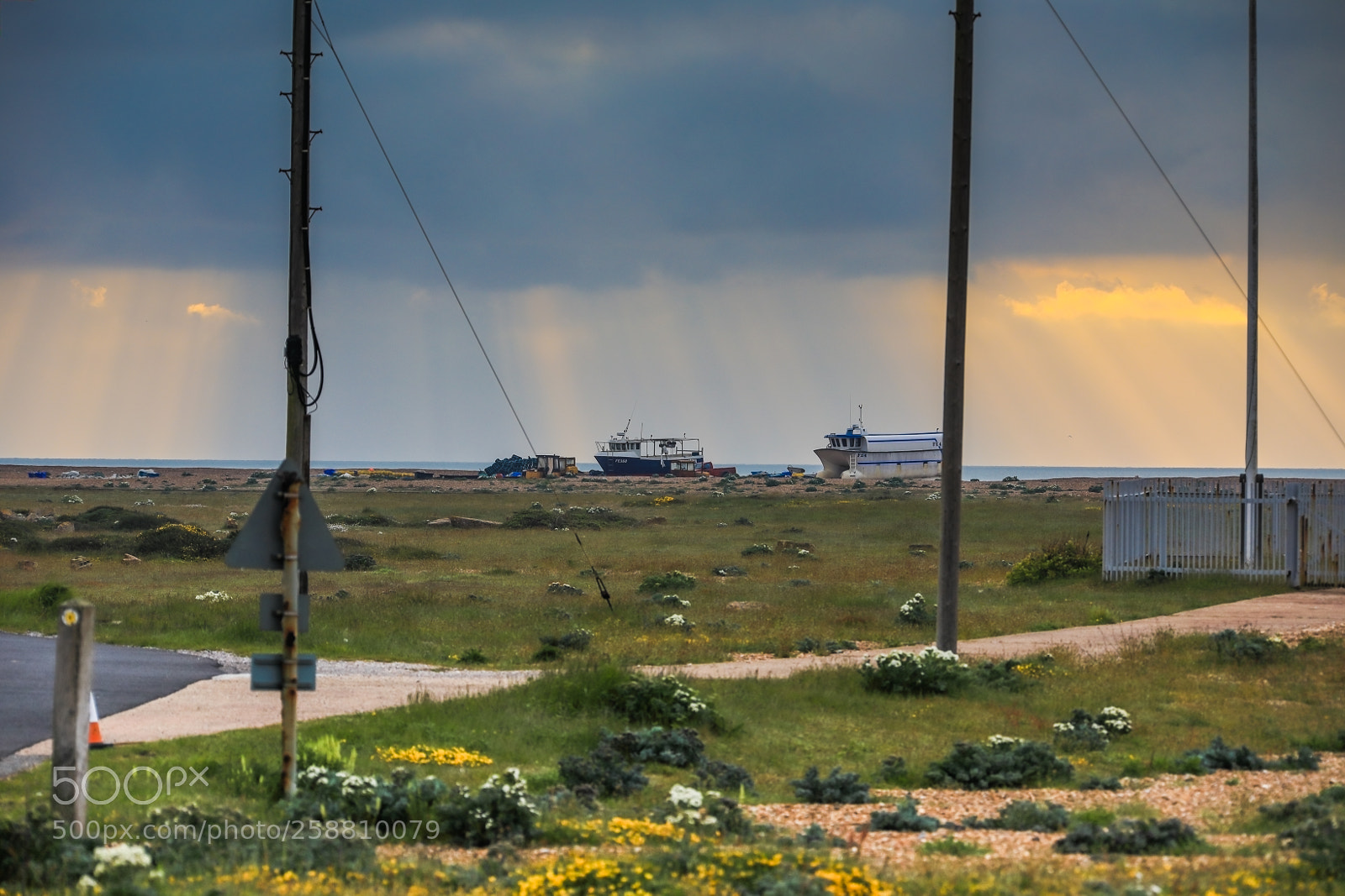 Canon EOS 5D Mark IV sample photo. Untitled photography