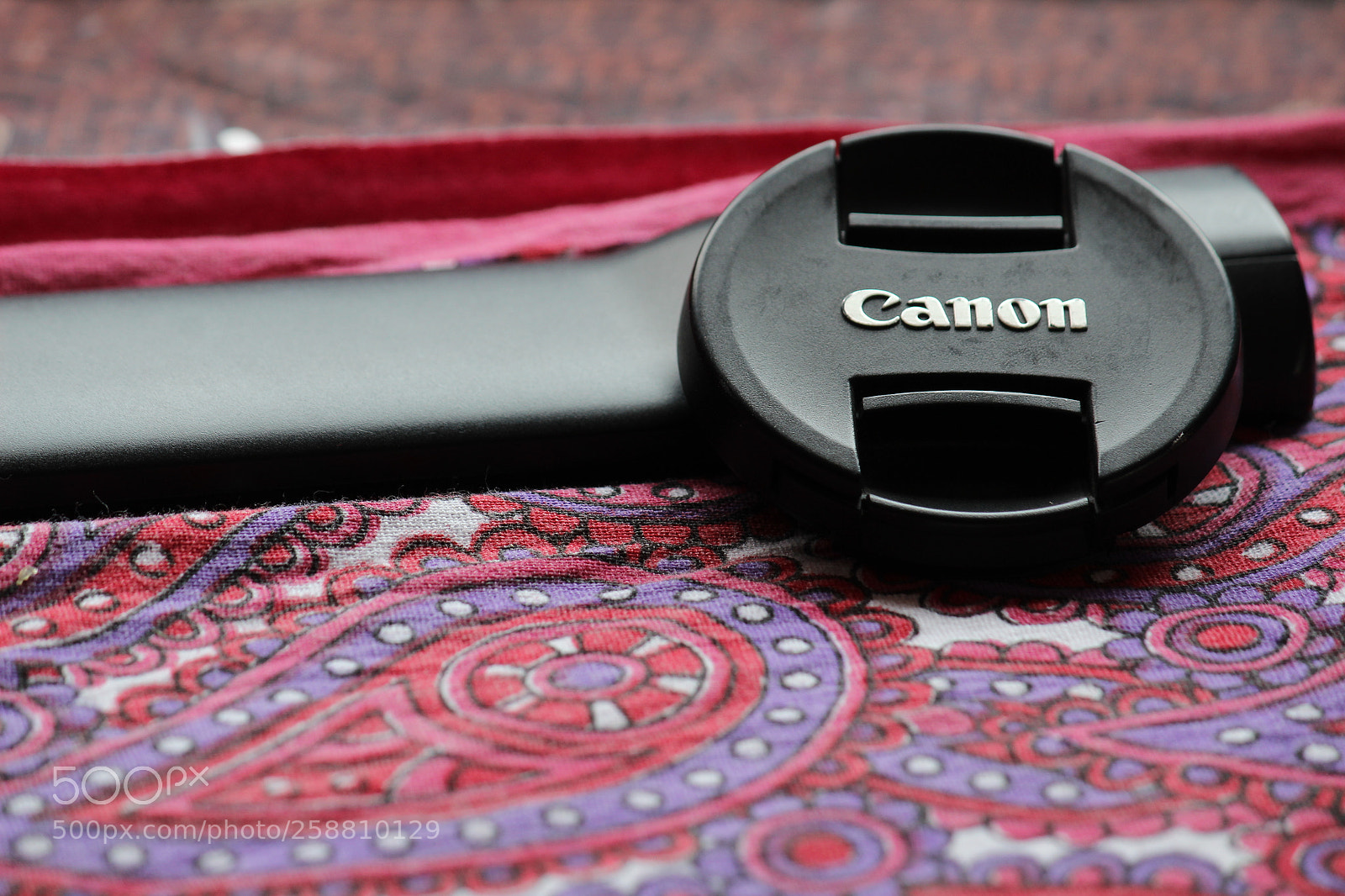 Canon EF-S 55-250mm F4-5.6 IS II sample photo. Img photography