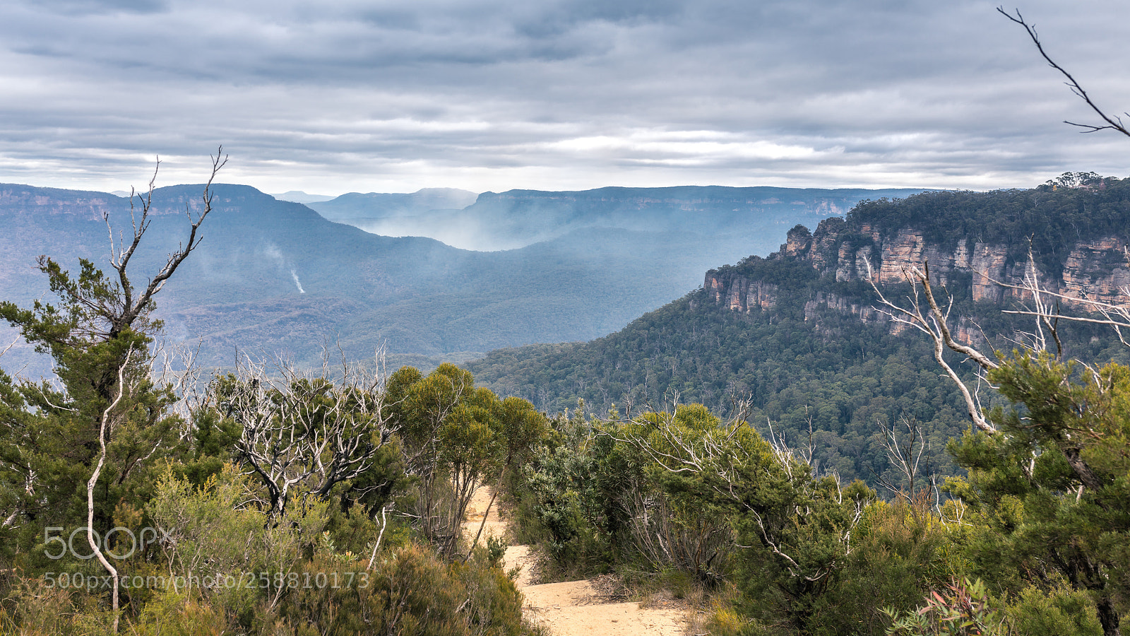 Canon EOS 5DS R sample photo. Bluemt leura photography