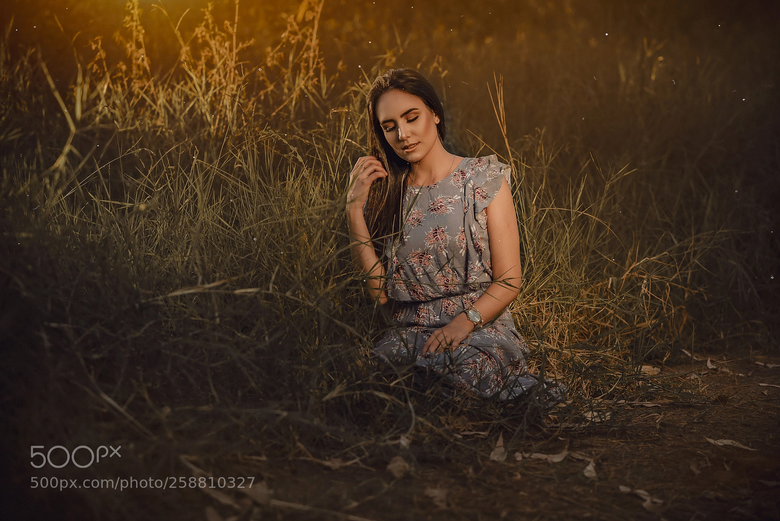 Nikon D610 sample photo. Untitled photography