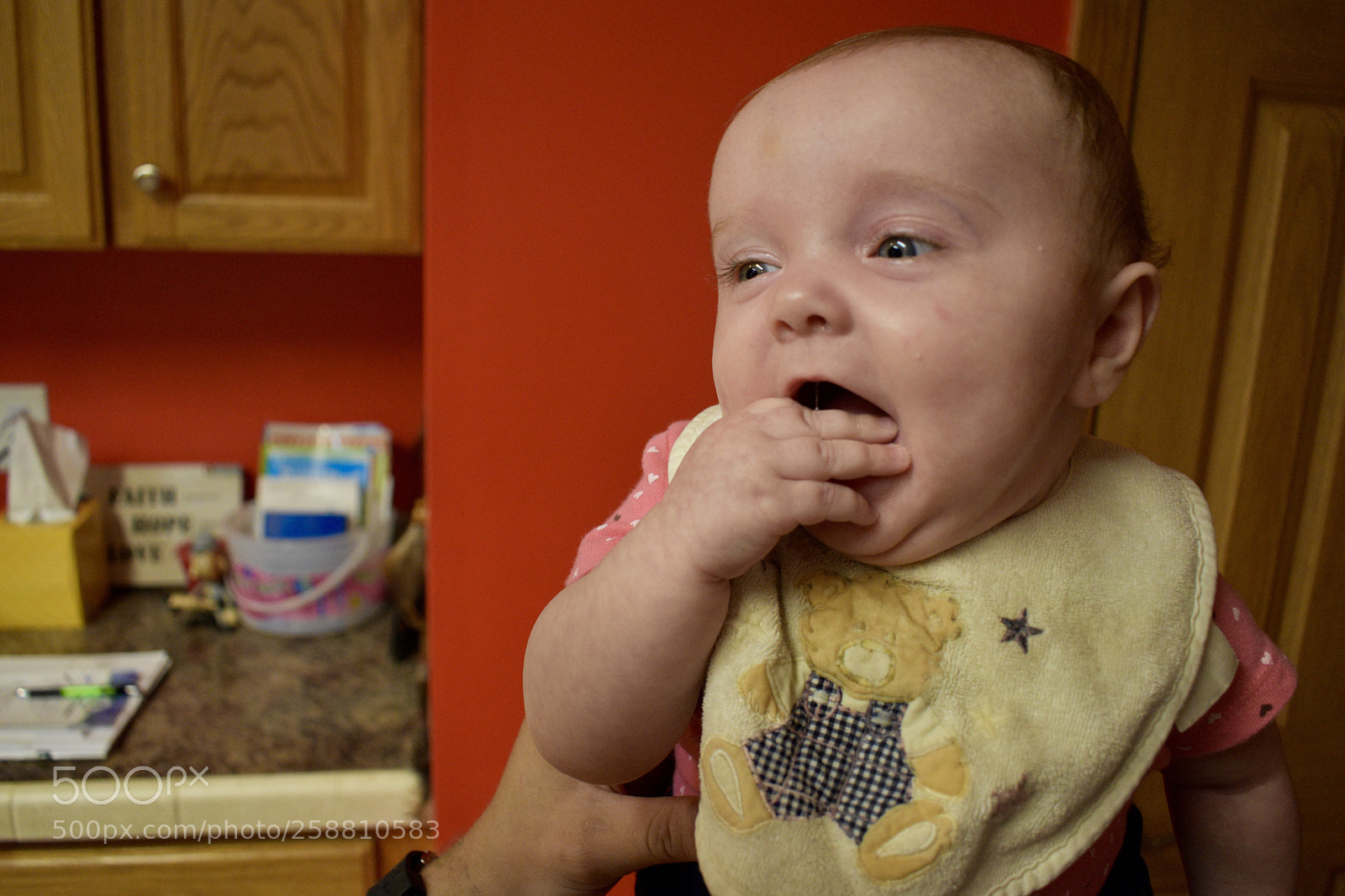 Nikon D5600 sample photo. Niece  photography