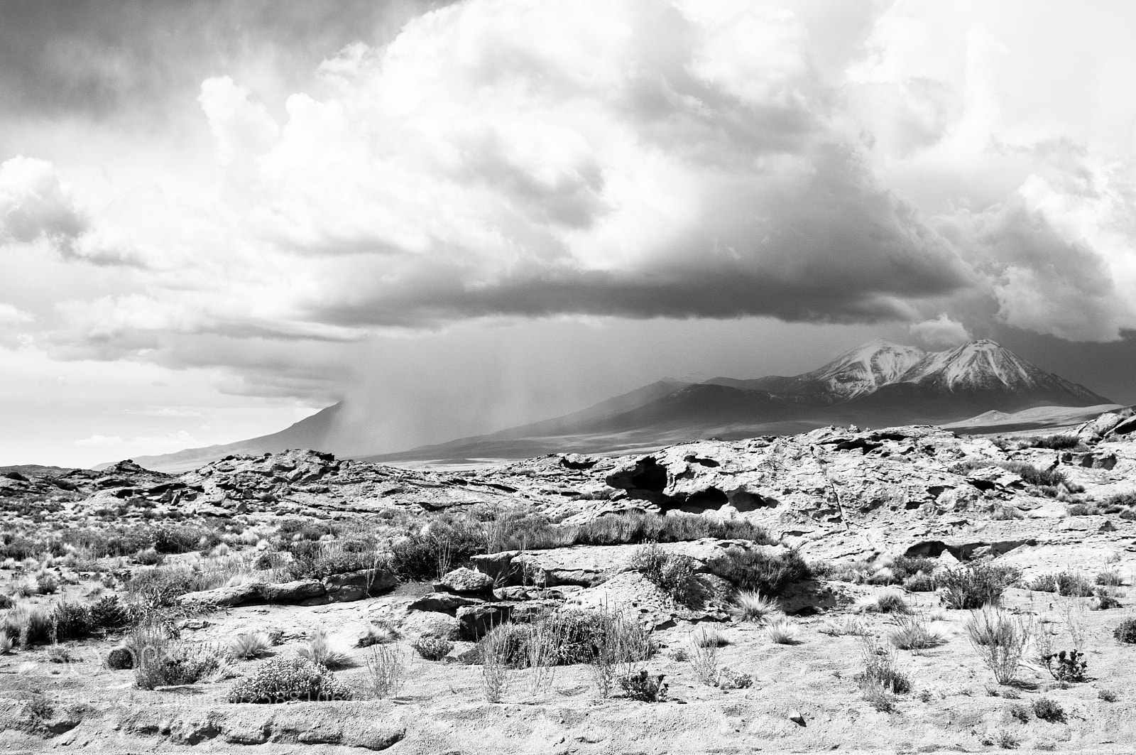 Nikon D90 sample photo. Rain in the desert photography