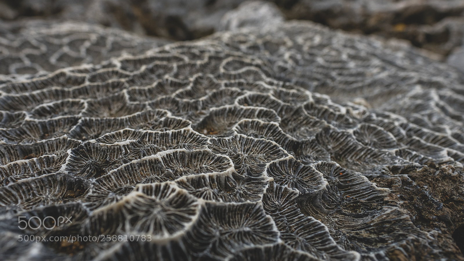 Fujifilm X-T10 sample photo. Patterns along the coast 1 photography