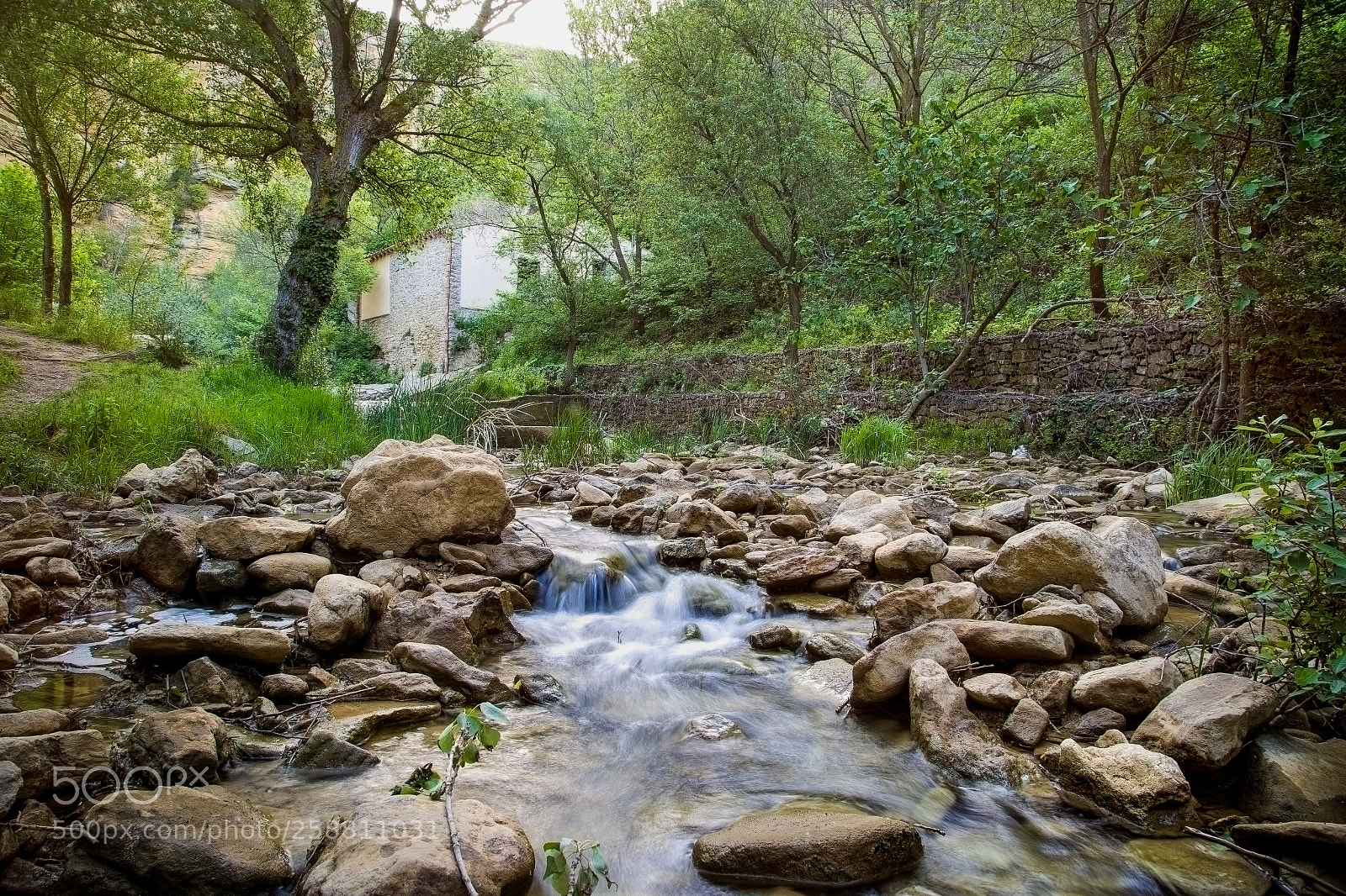 Canon EOS 6D sample photo. Inside nature photography