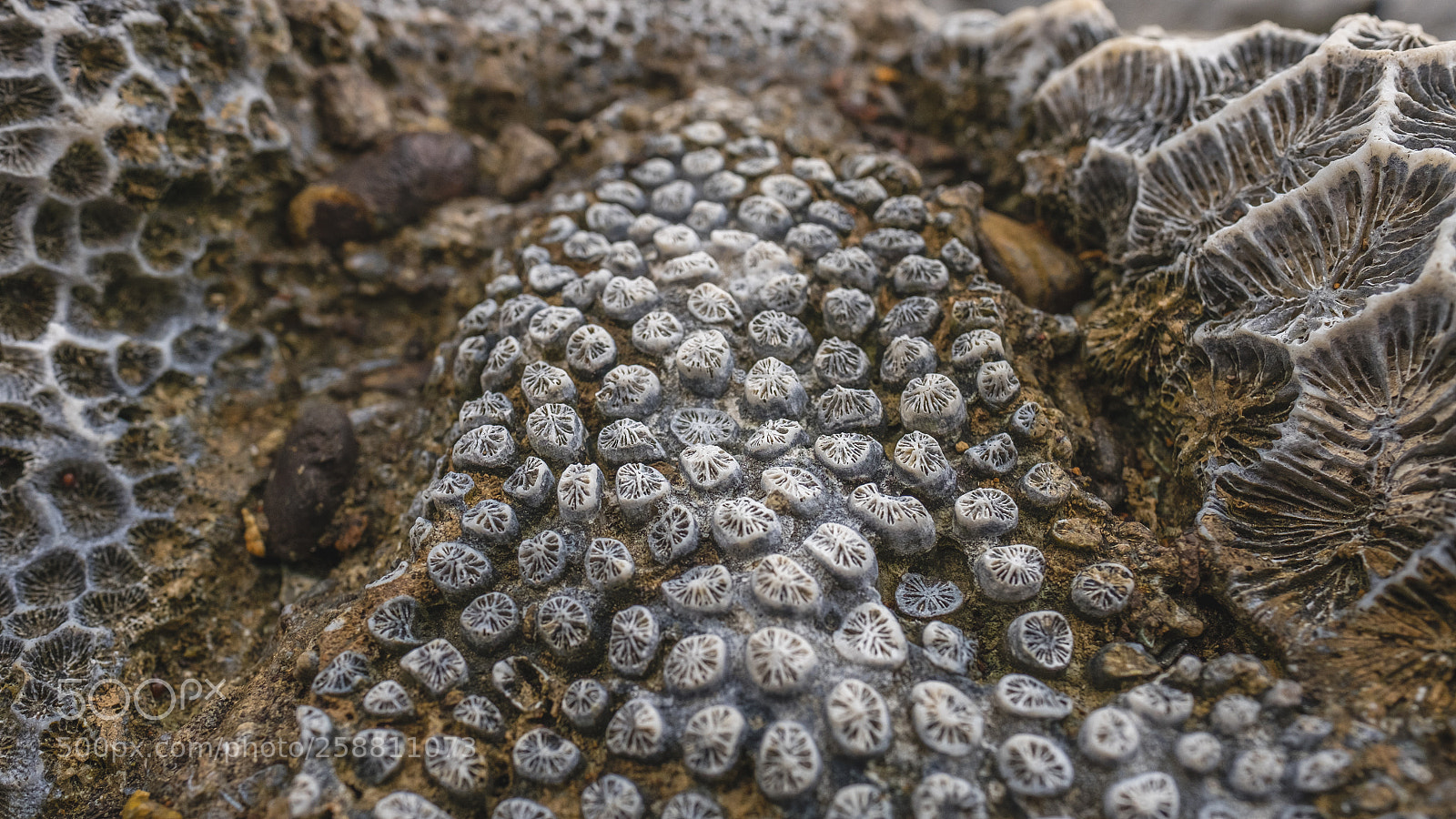 Fujifilm X-T10 sample photo. Patterns along the coast 2 photography