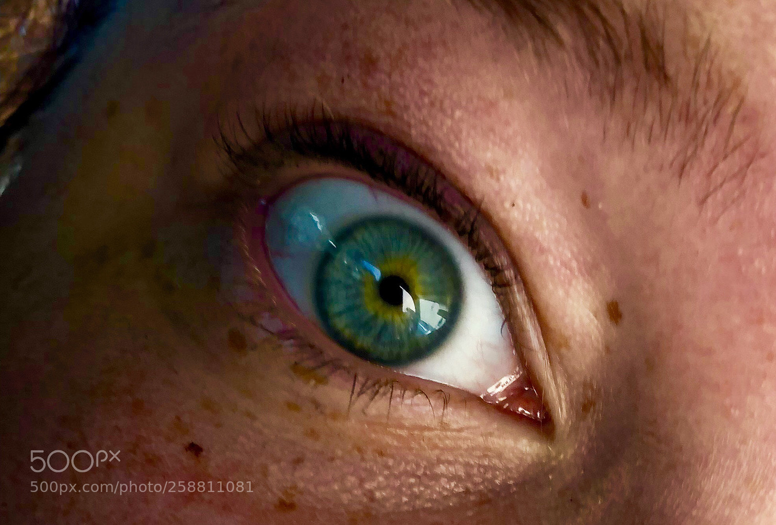 Apple iPhone X sample photo. My eye  photography
