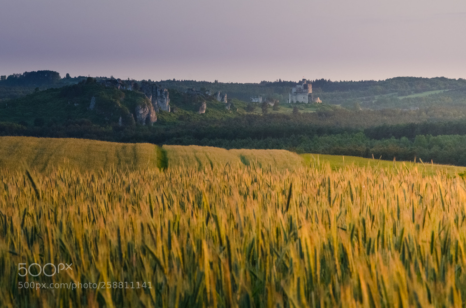 Nikon D7000 sample photo. Sunset photography