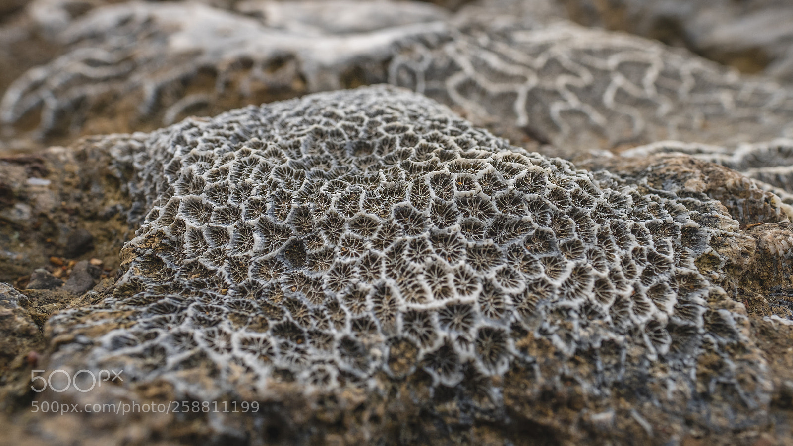 Fujifilm X-T10 sample photo. Patterns along the coast 3 photography