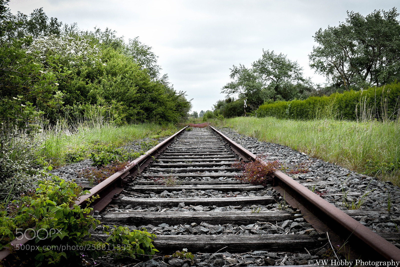 Nikon D3300 sample photo. Railway line 73 photography