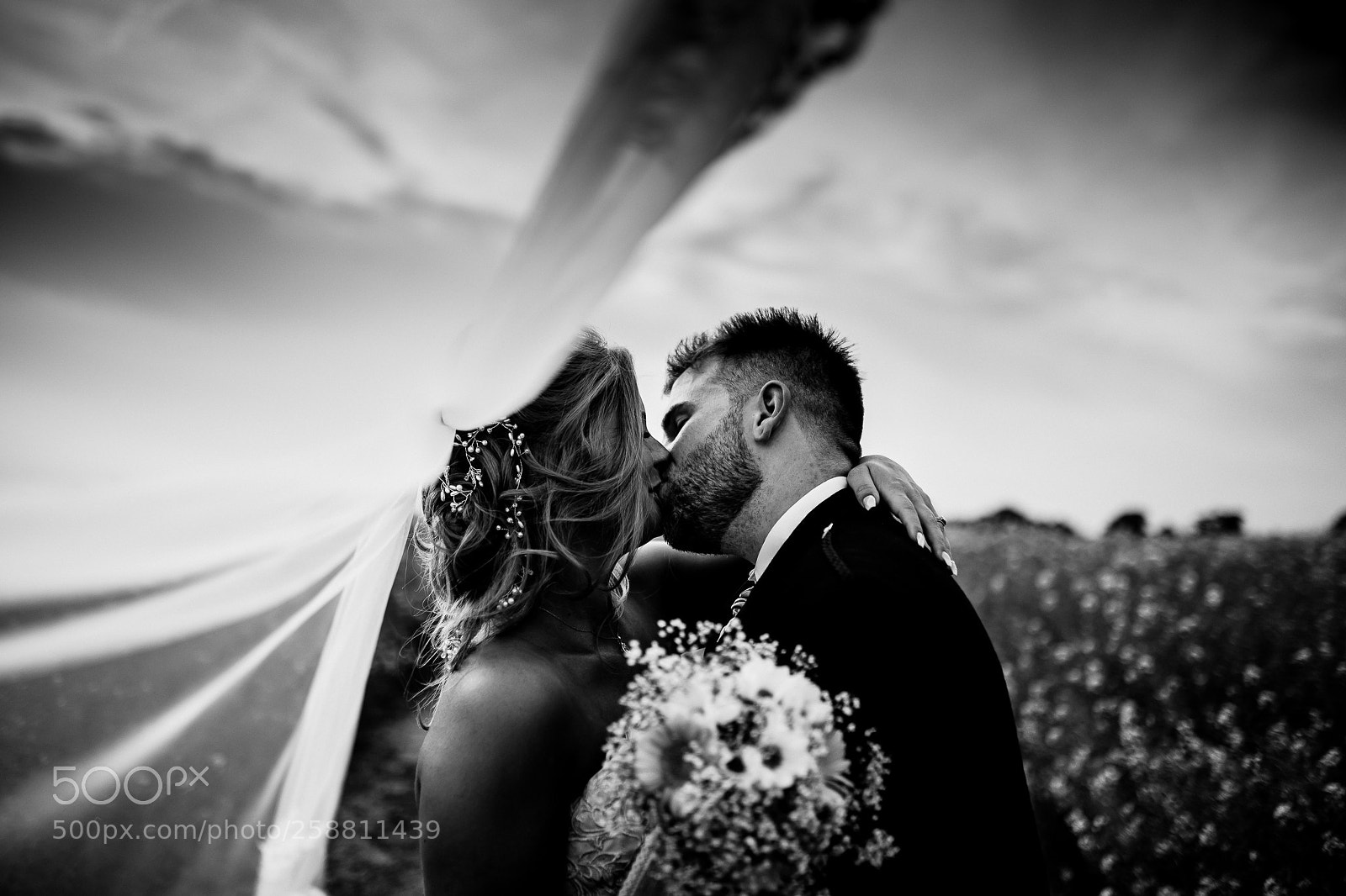Canon EOS 6D sample photo. The veil. photography