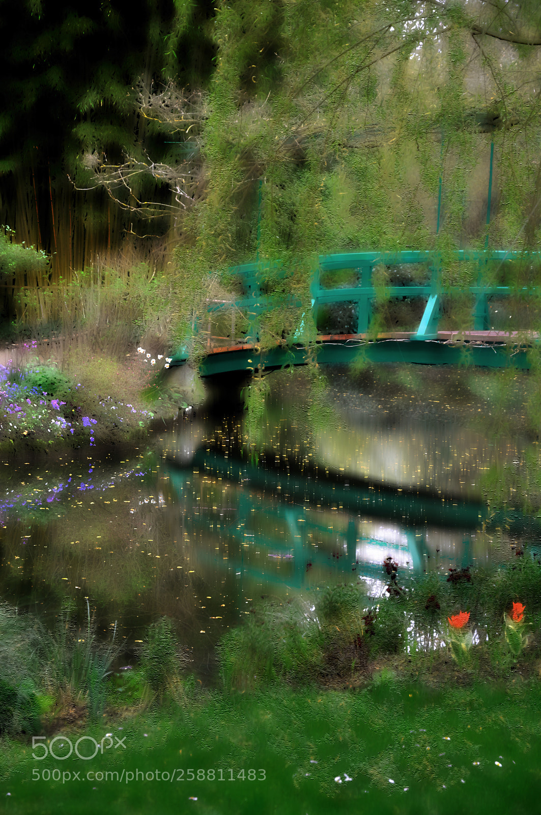Nikon D300 sample photo. The japanese footbridge and photography
