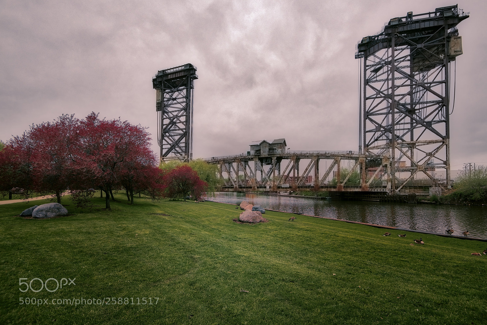 Nikon D810 sample photo. The bridge photography
