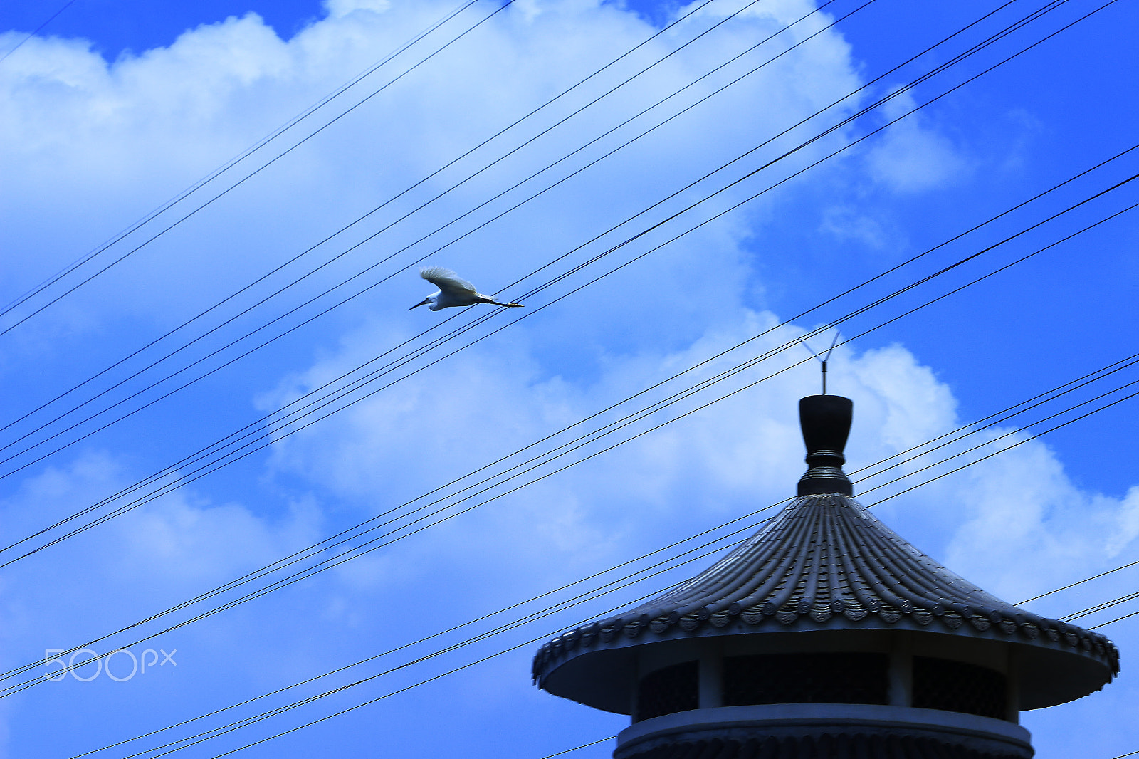 Canon EOS 700D (EOS Rebel T5i / EOS Kiss X7i) + Canon EF 70-300mm F4-5.6L IS USM sample photo. Roof flying bird photography