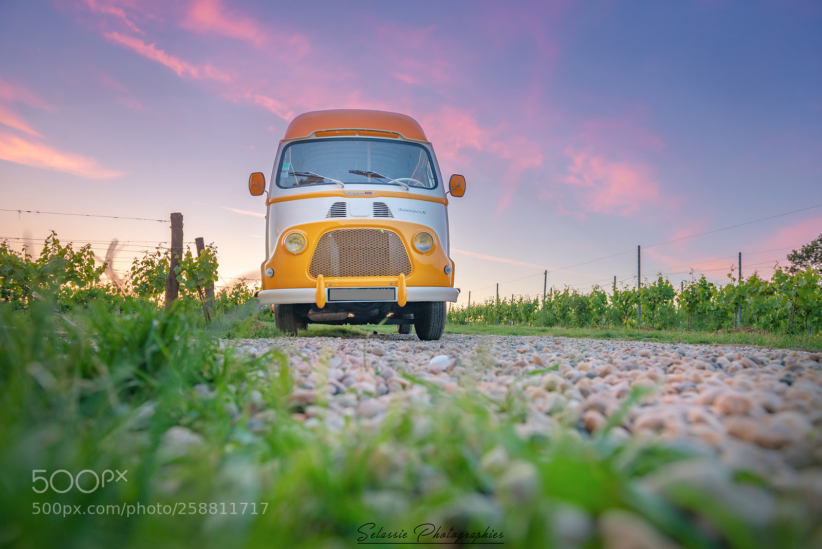 Nikon D800 sample photo. The yellow bus photography