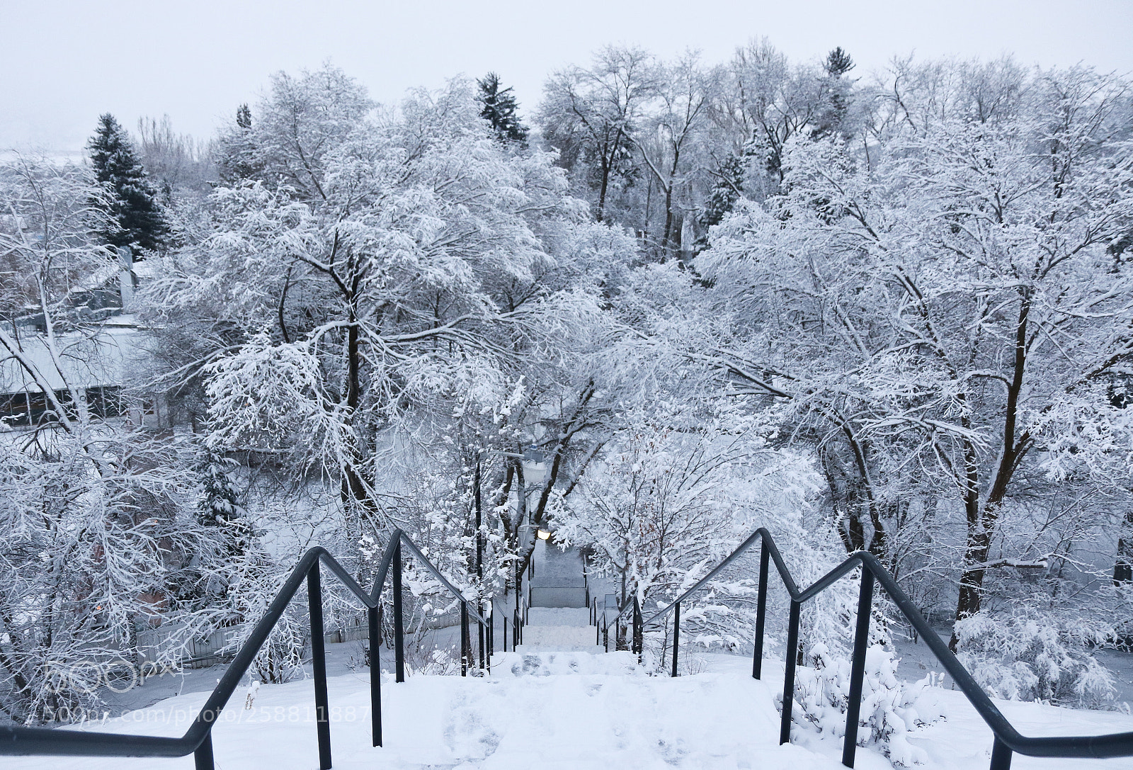 Canon EOS 7D Mark II sample photo. Winterland photography