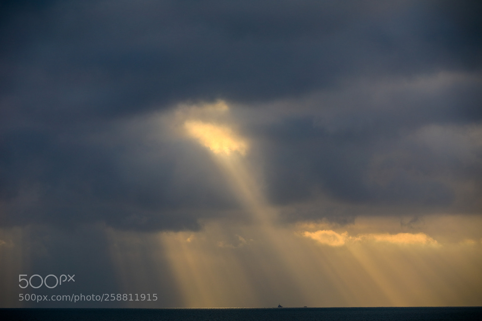 Canon EOS 5D Mark IV sample photo. Untitled photography
