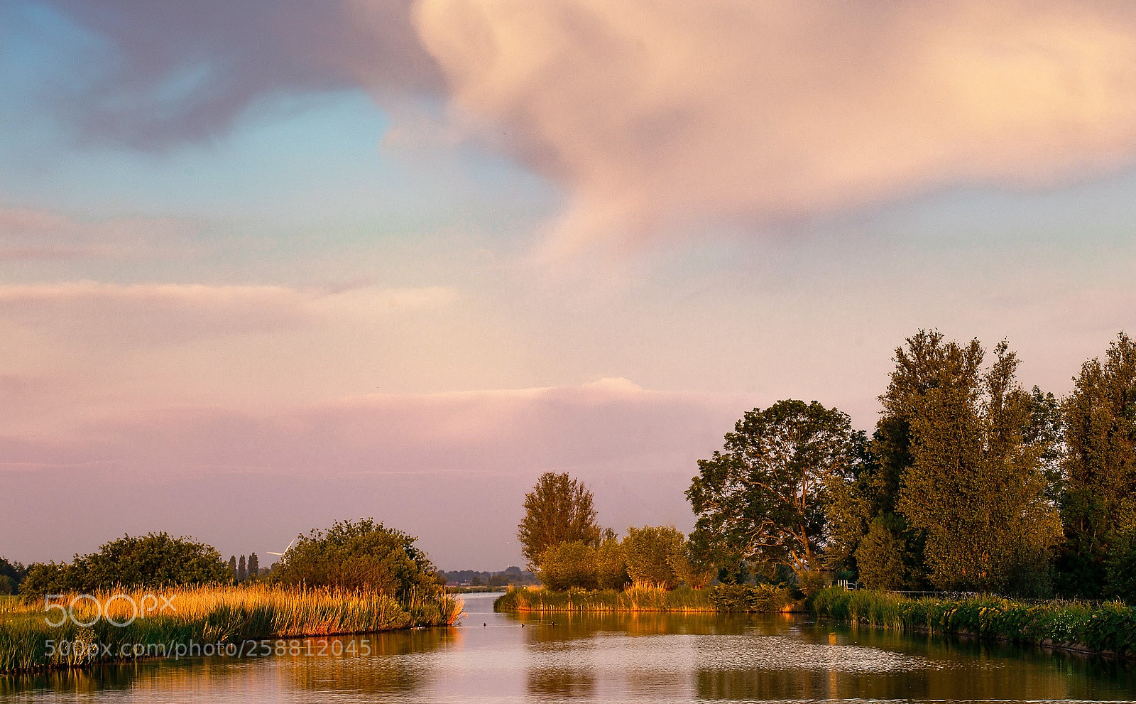 Canon EOS 6D sample photo. Vlietlanden photography