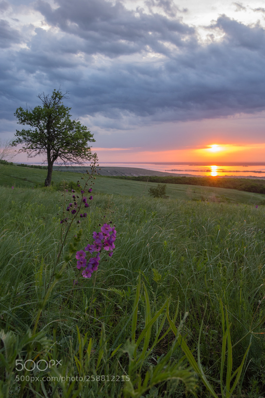 Nikon D7100 sample photo. Sunrise photography
