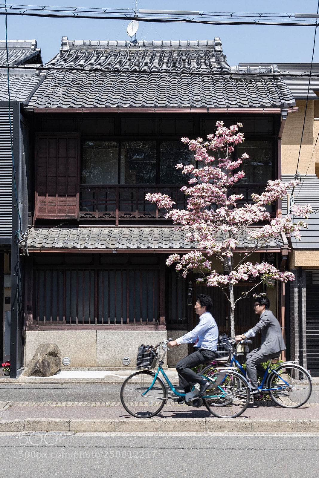 Nikon D5600 sample photo. Kyoto photography
