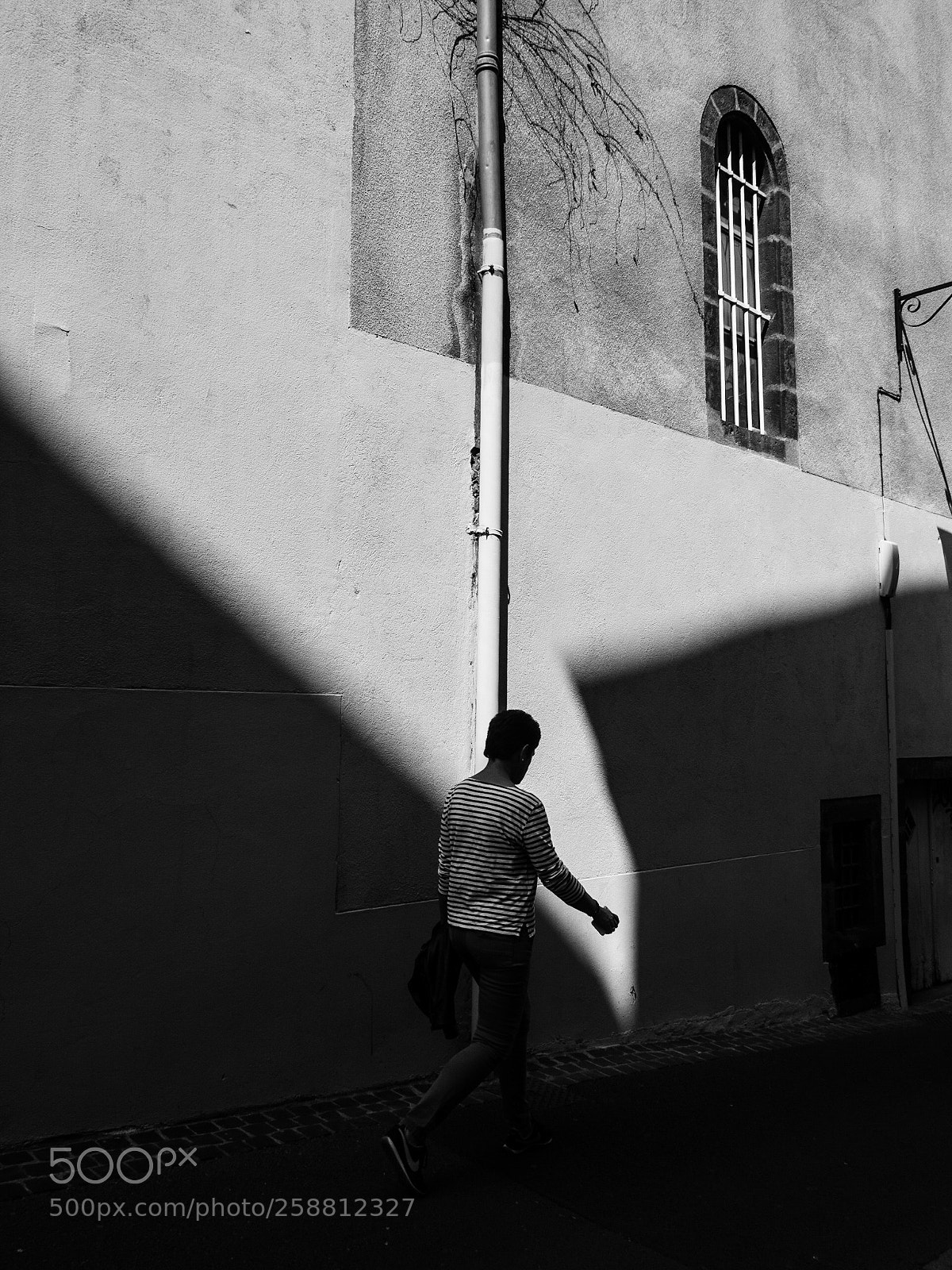 Olympus OM-D E-M5 II sample photo. Untitled photography