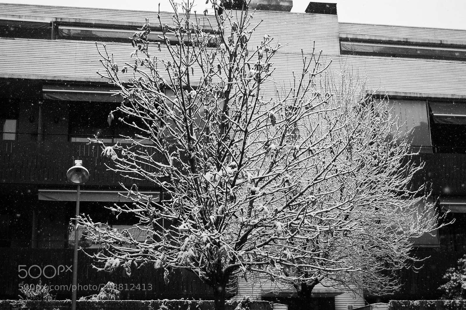 Nikon D40 sample photo. Nevado photography