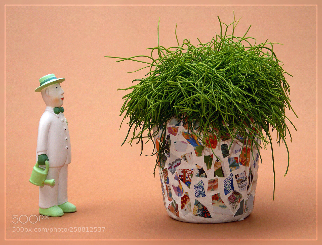 Sony Alpha DSLR-A300 sample photo. Well done ! photography