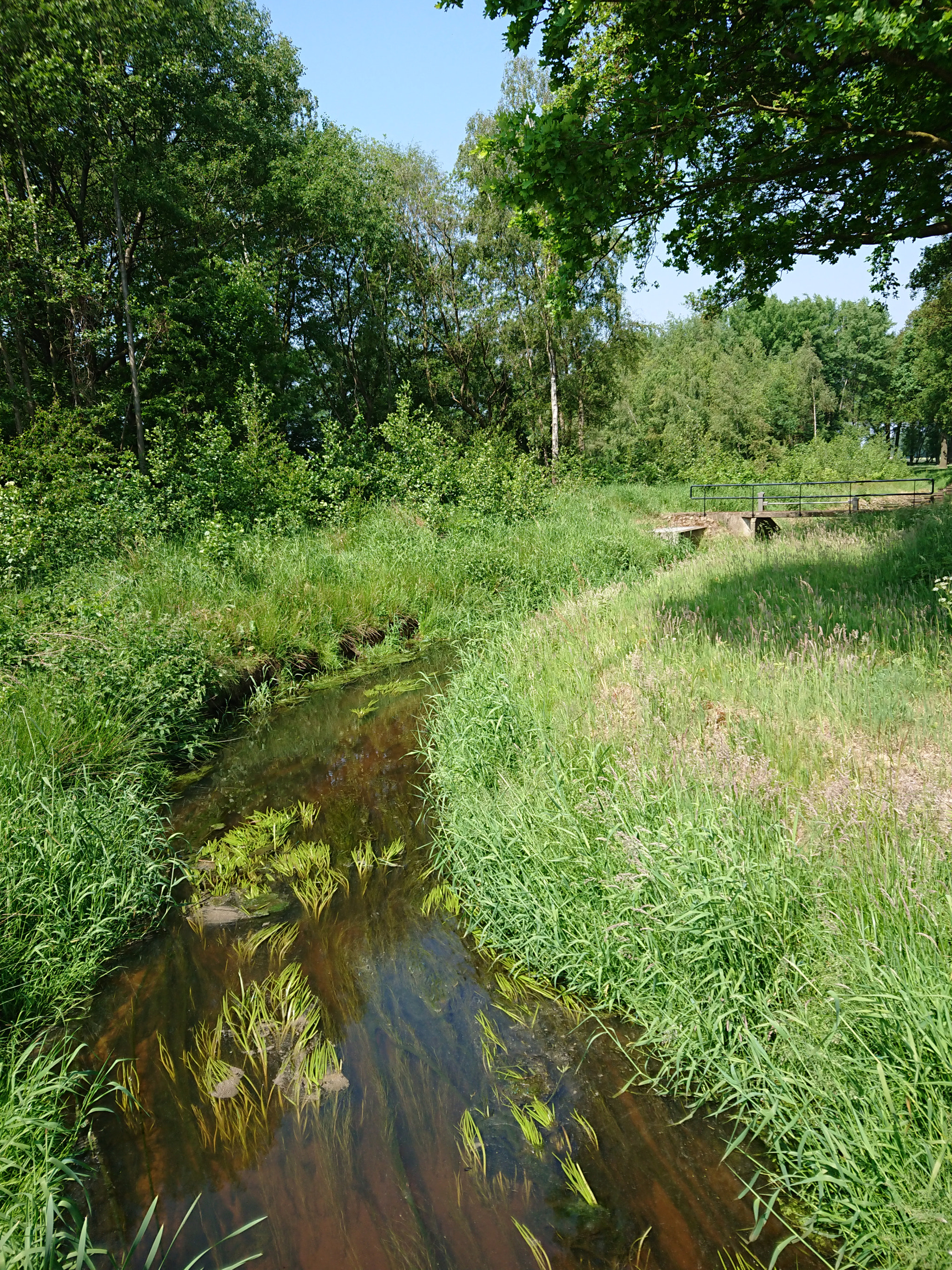 Sony Xperia XZ Premium sample photo. Cycling in twente photography
