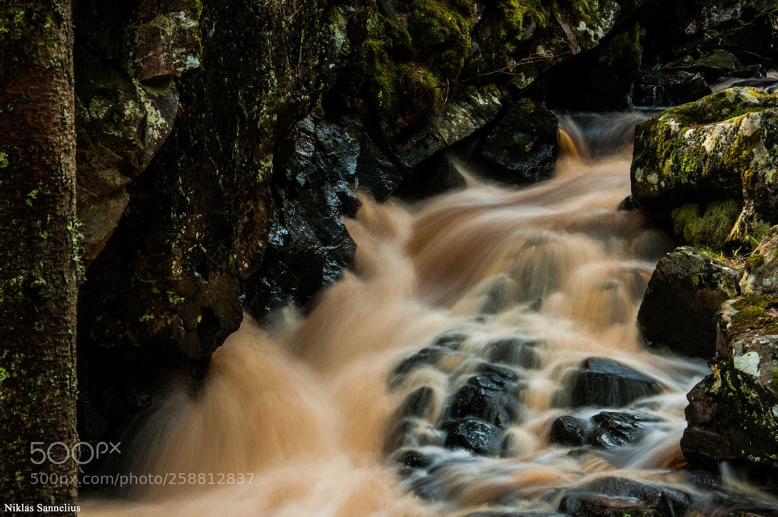 Nikon D300 sample photo. Ett litet vattenfall i photography