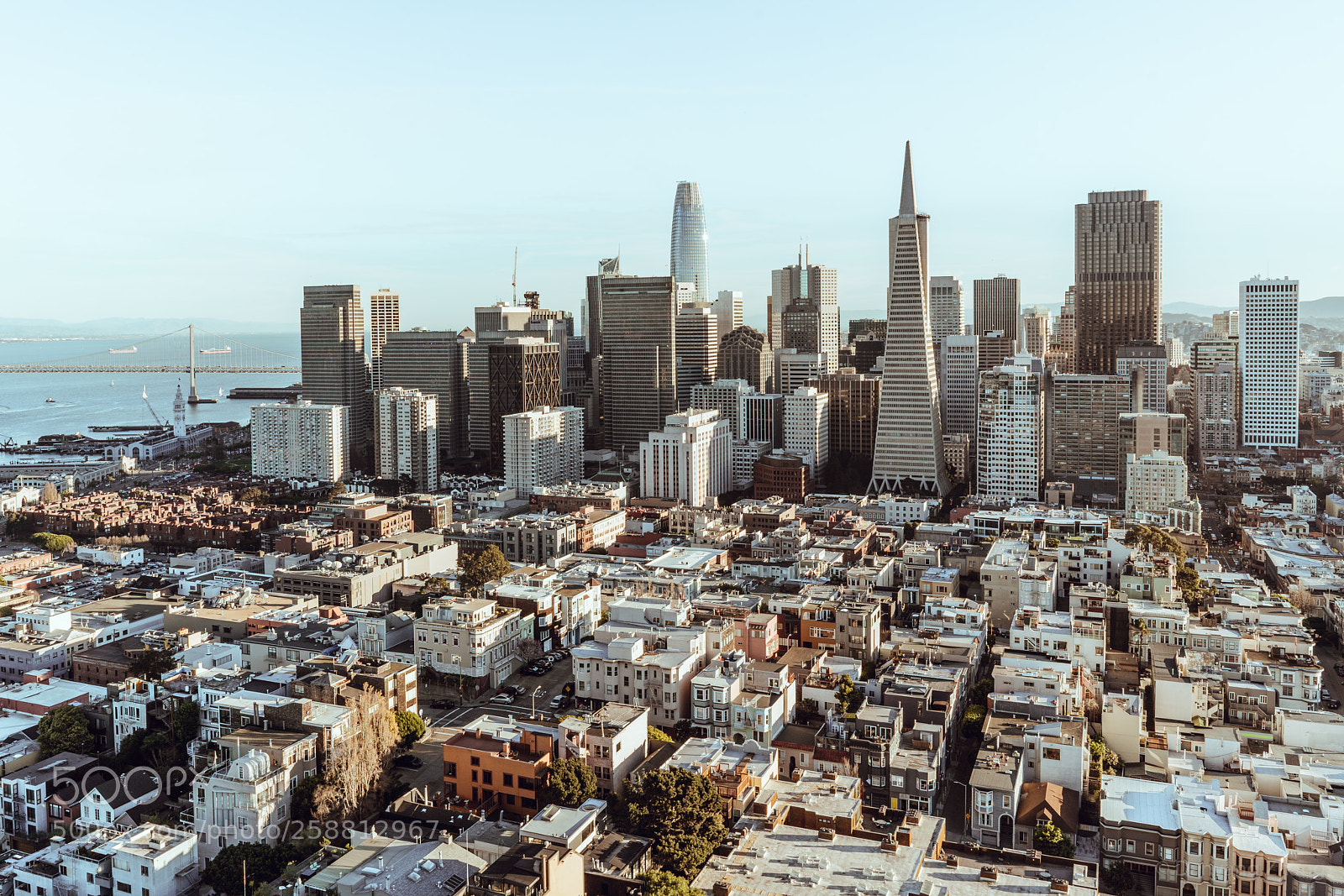 Sony a7R III sample photo. San francisco photography